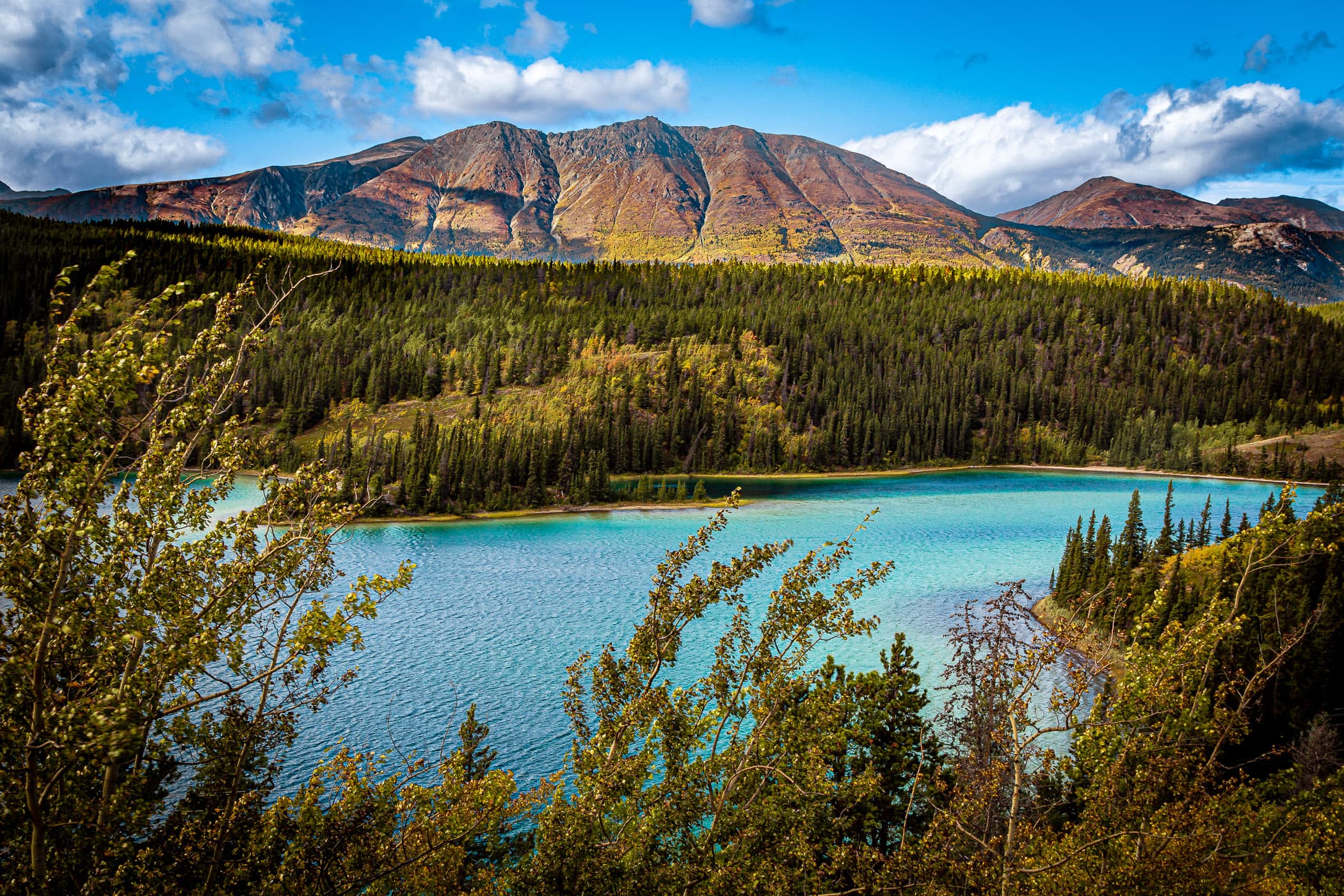 The deep blue-green waters of Emerald Lake, nestled in the mountains just north of Carcross, Yukon Territory, Canada.