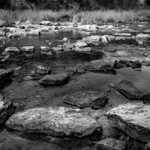 In the River
