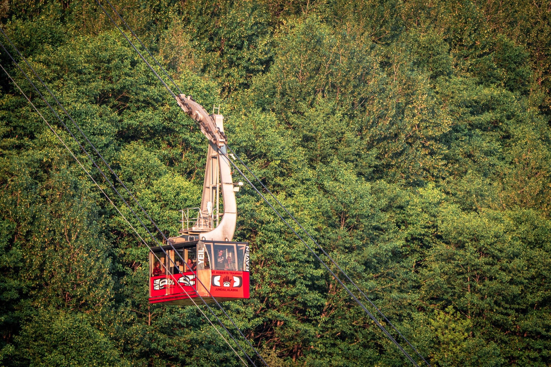 The Mount Roberts Tramway dangles over the forest in Juneau, Alaska.