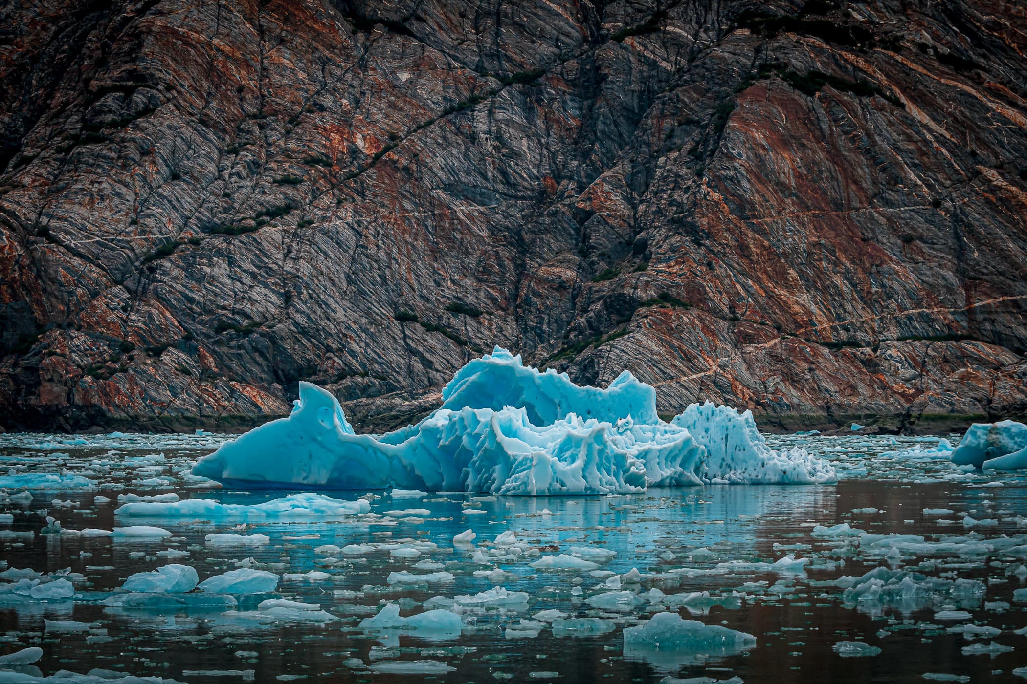 Ice floes float in Alaska's Tracy Arm Fjord.