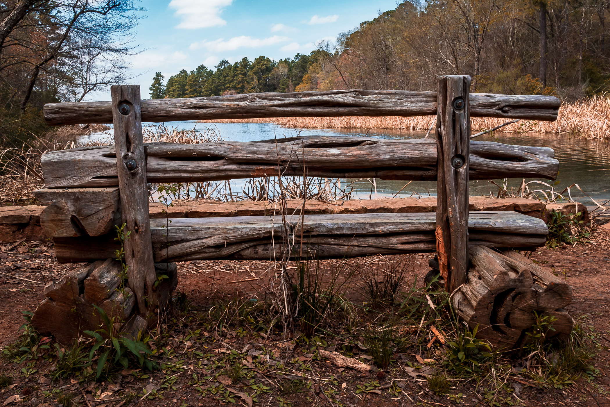 A bench provides a lakeside view at Texas' Tyler State Park.