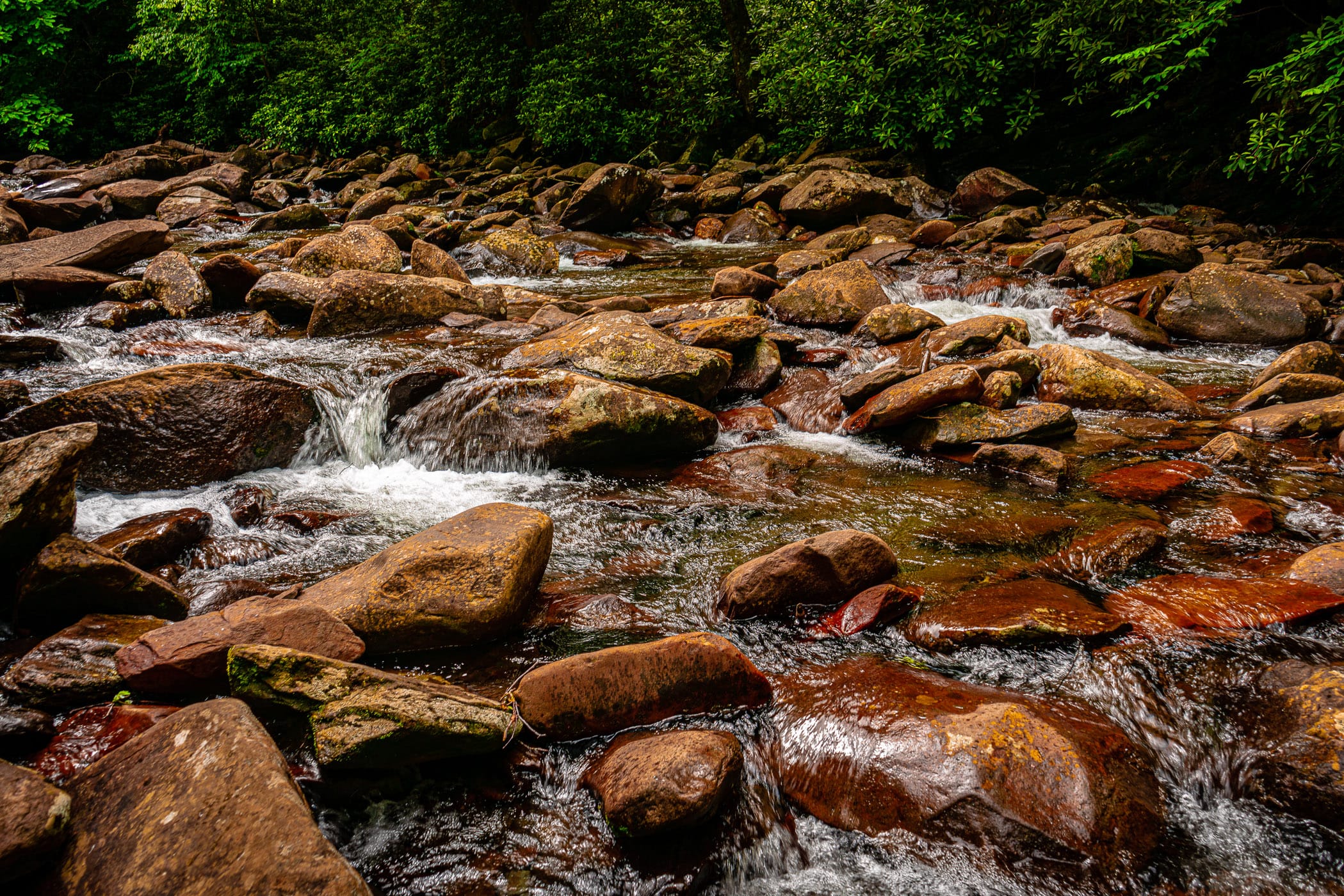 A rocky stream in the Great Smoky Mountains National Park, Tennessee.