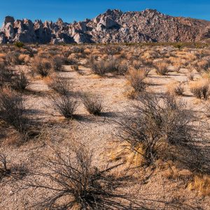 A Parched Land