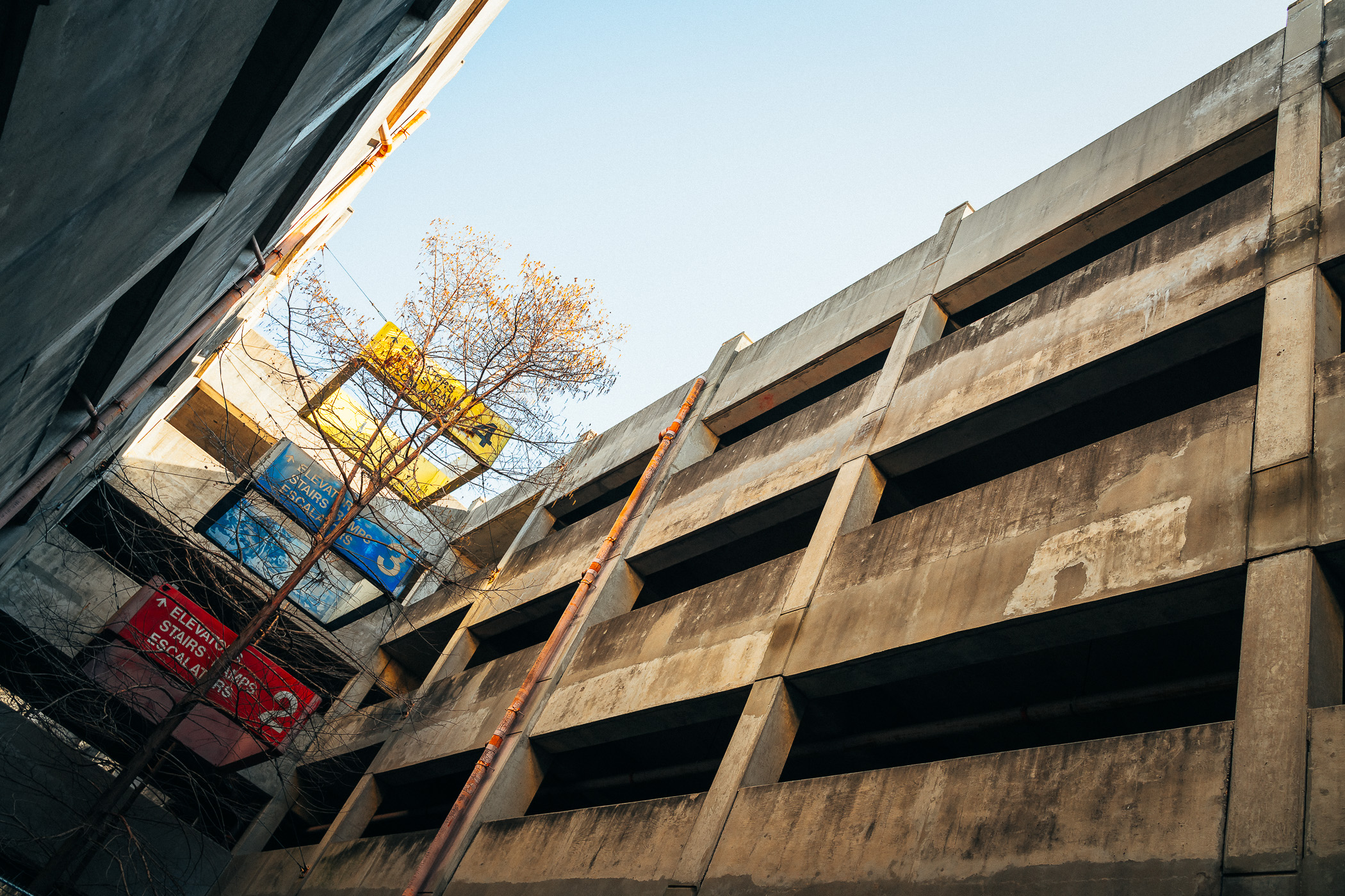 A lone tree grows among signage in an abandoned parking garage originally built for the now-demolished Reunion Arena. A lone tree grows among signage in an abandoned parking garage originally built for the now-demolished Reunion Arena.