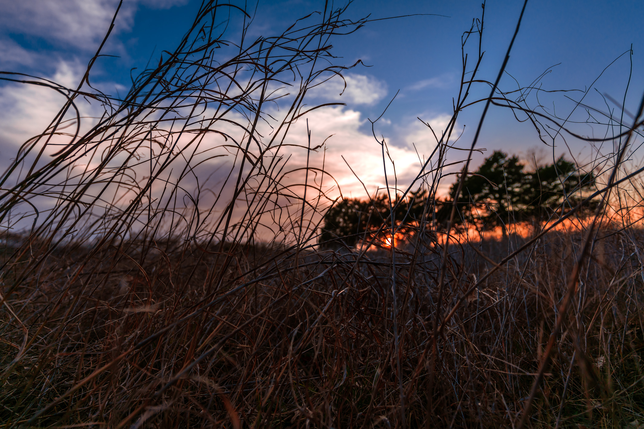 The sun sets on McKinney, Texas' Erwin Park.