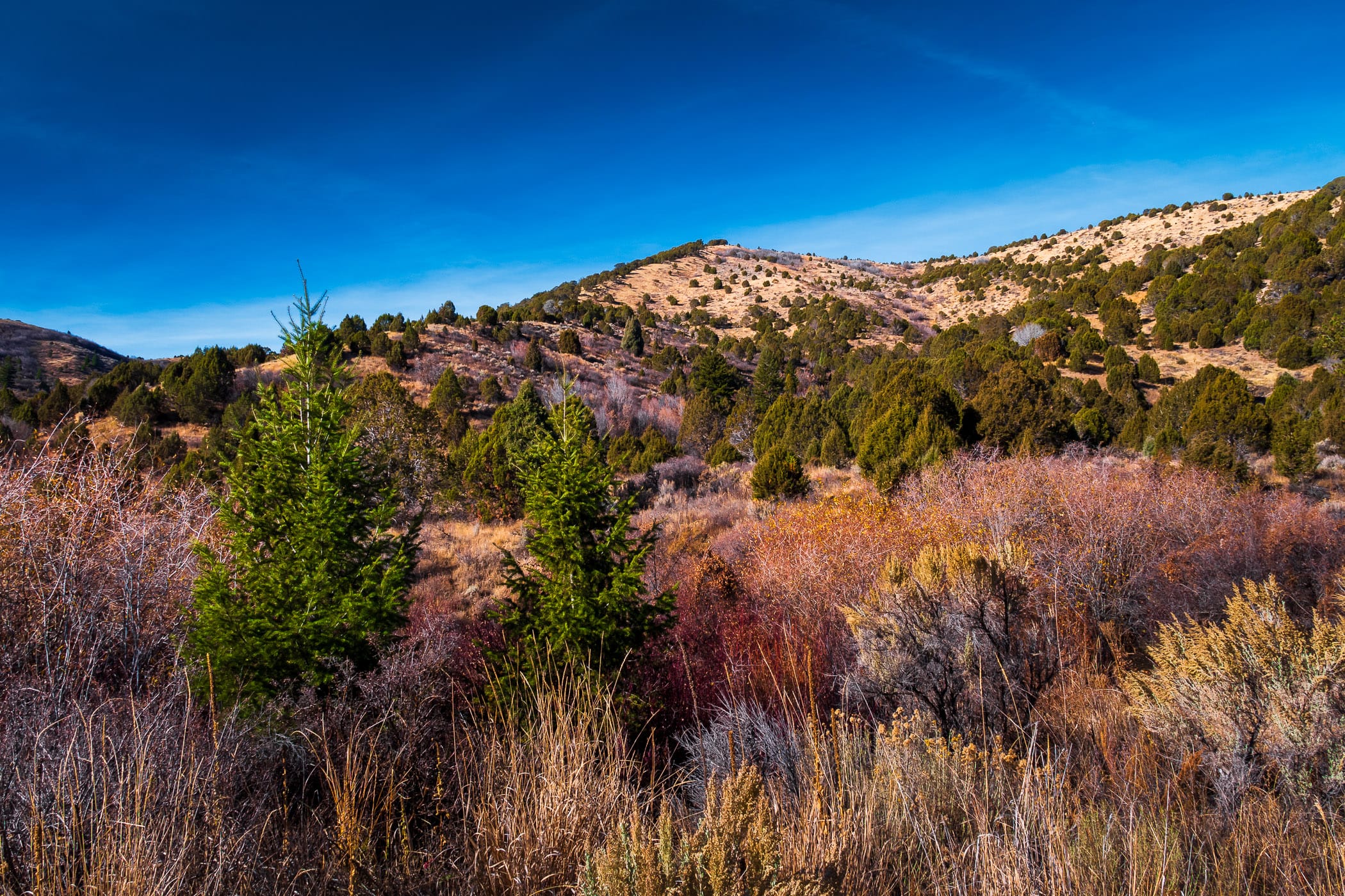 The hilly landscape of Cherry Springs Nature Area near Pocatello, Idaho.