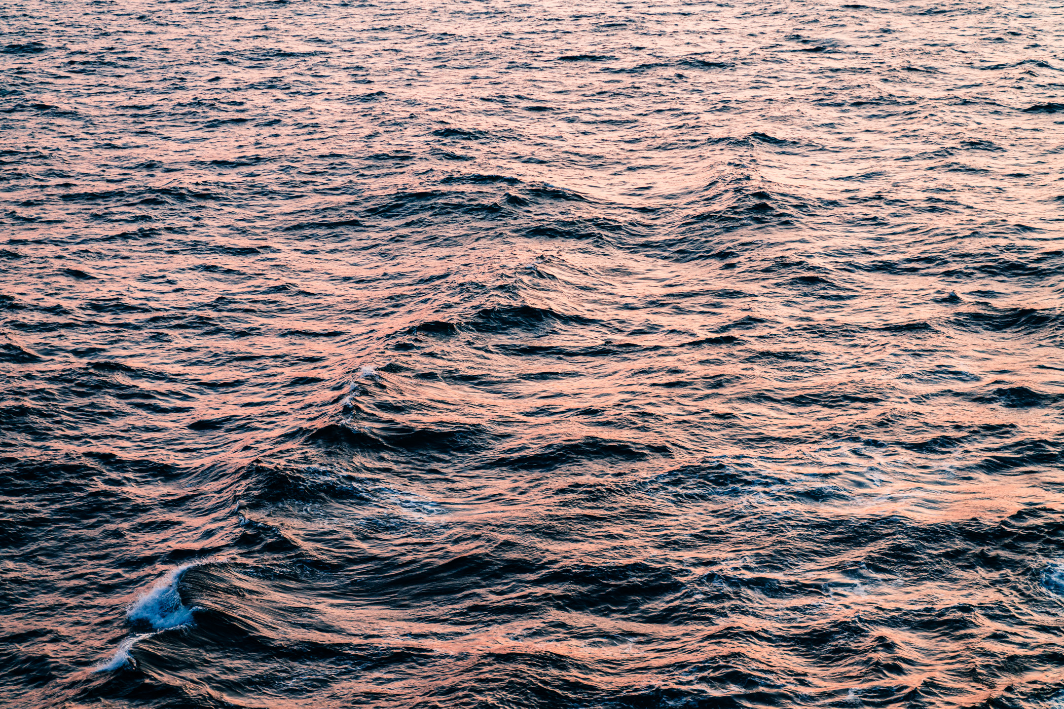 Pacific Ocean waves crest in the late evening sun off the coast of Moresby Island, British Columbia.