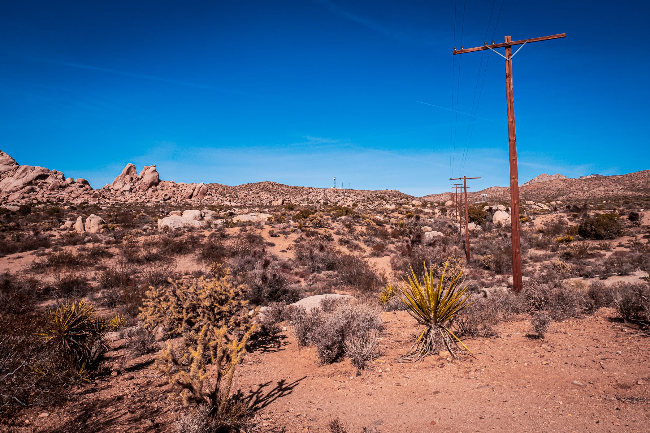 Electrical pylons cross the desert at Granite Pass, Mojave National Preserve, California.