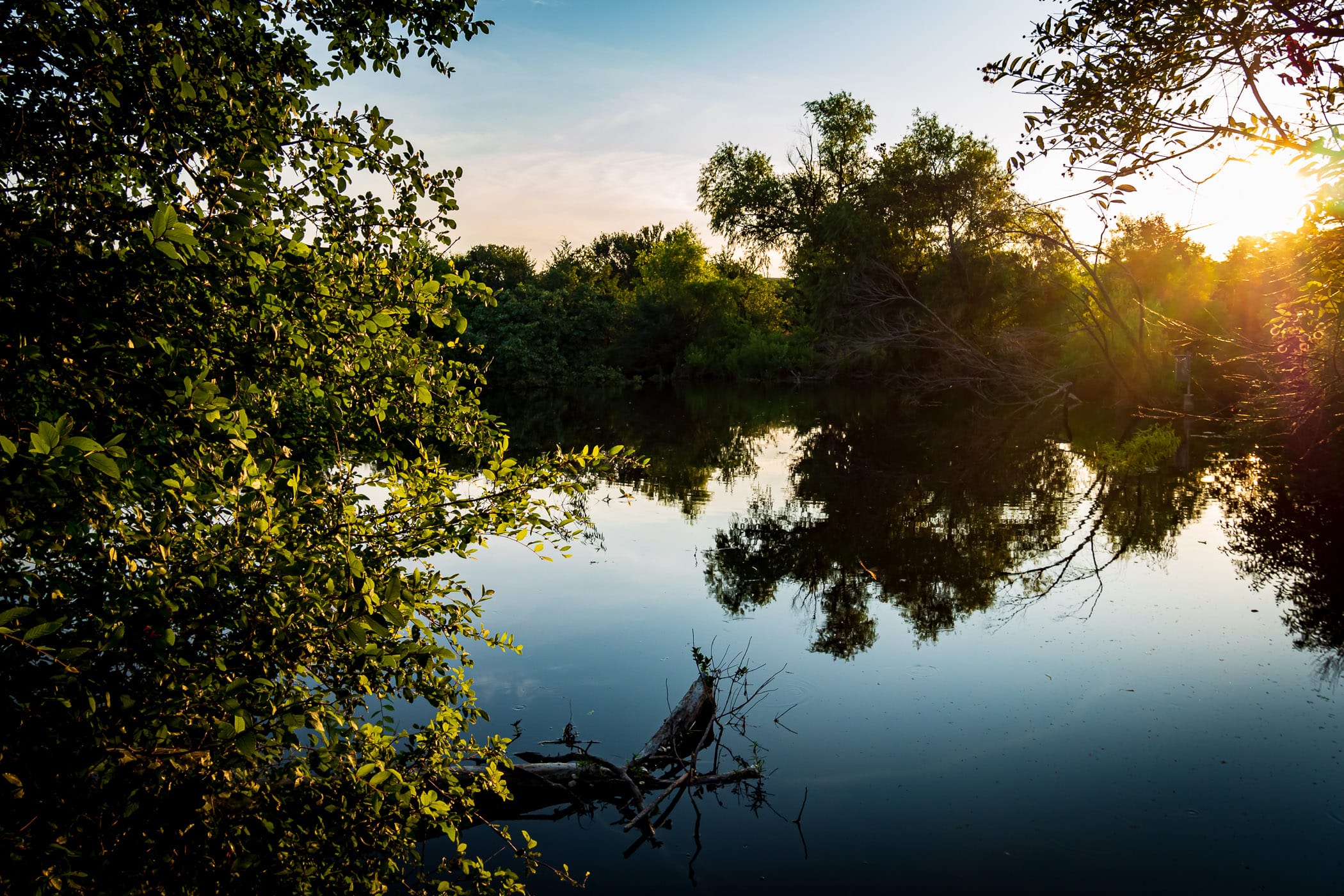 A pond greets daybreak at Arbor Hills Nature Preserve, Plano, Texas.