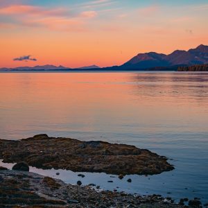 A Narrow Dawn