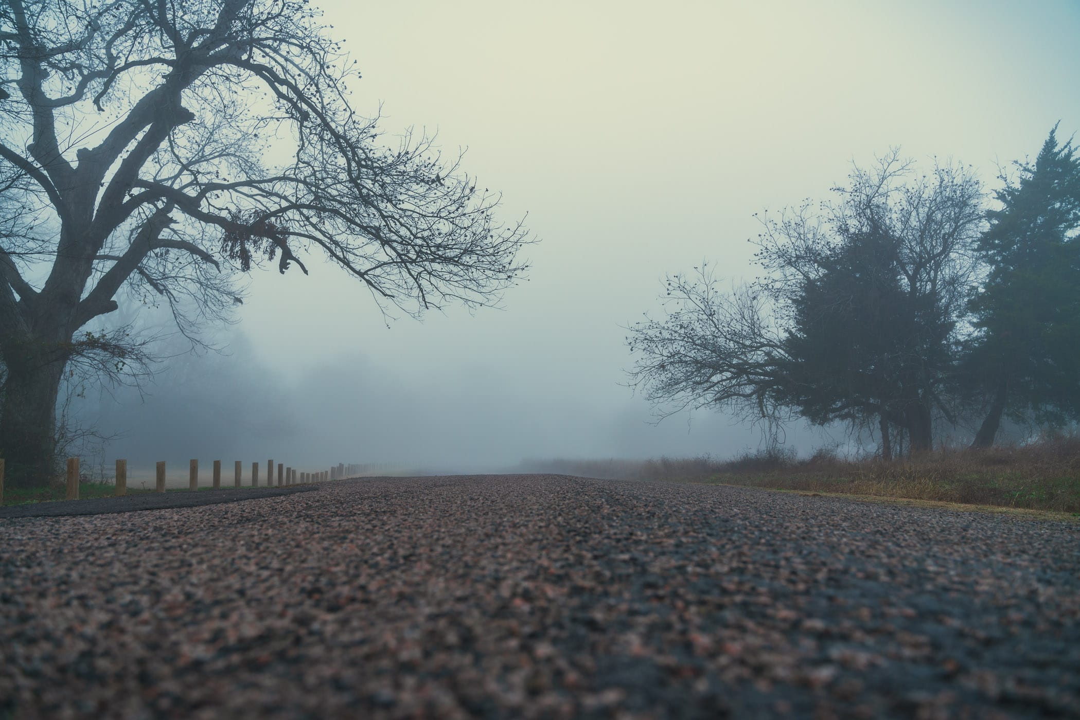 A foggy morning at McKinney, Texas' Erwin Park.