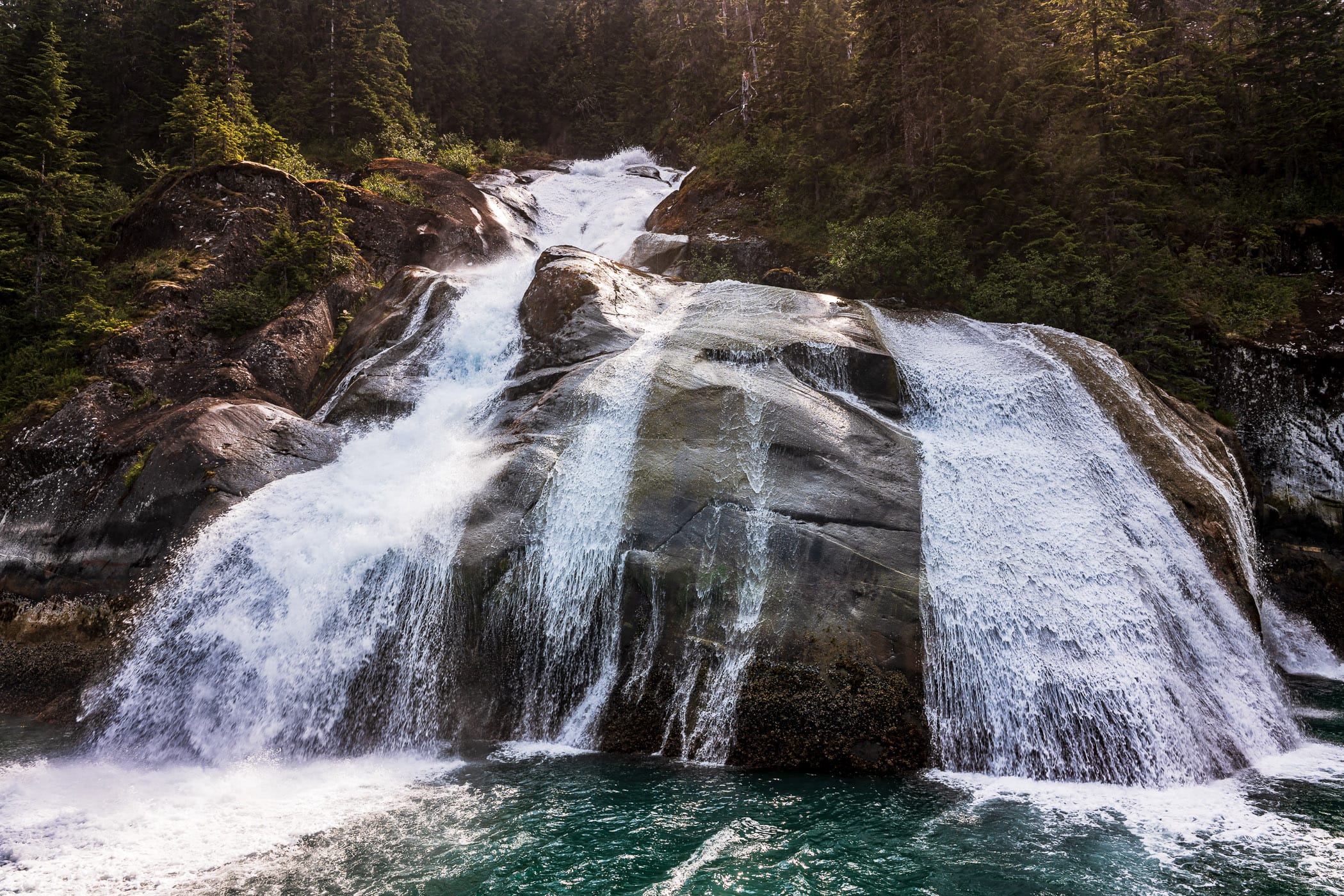 A waterfall emerges from the forest along the shore of Alaska's Tracy Arm Fjord.