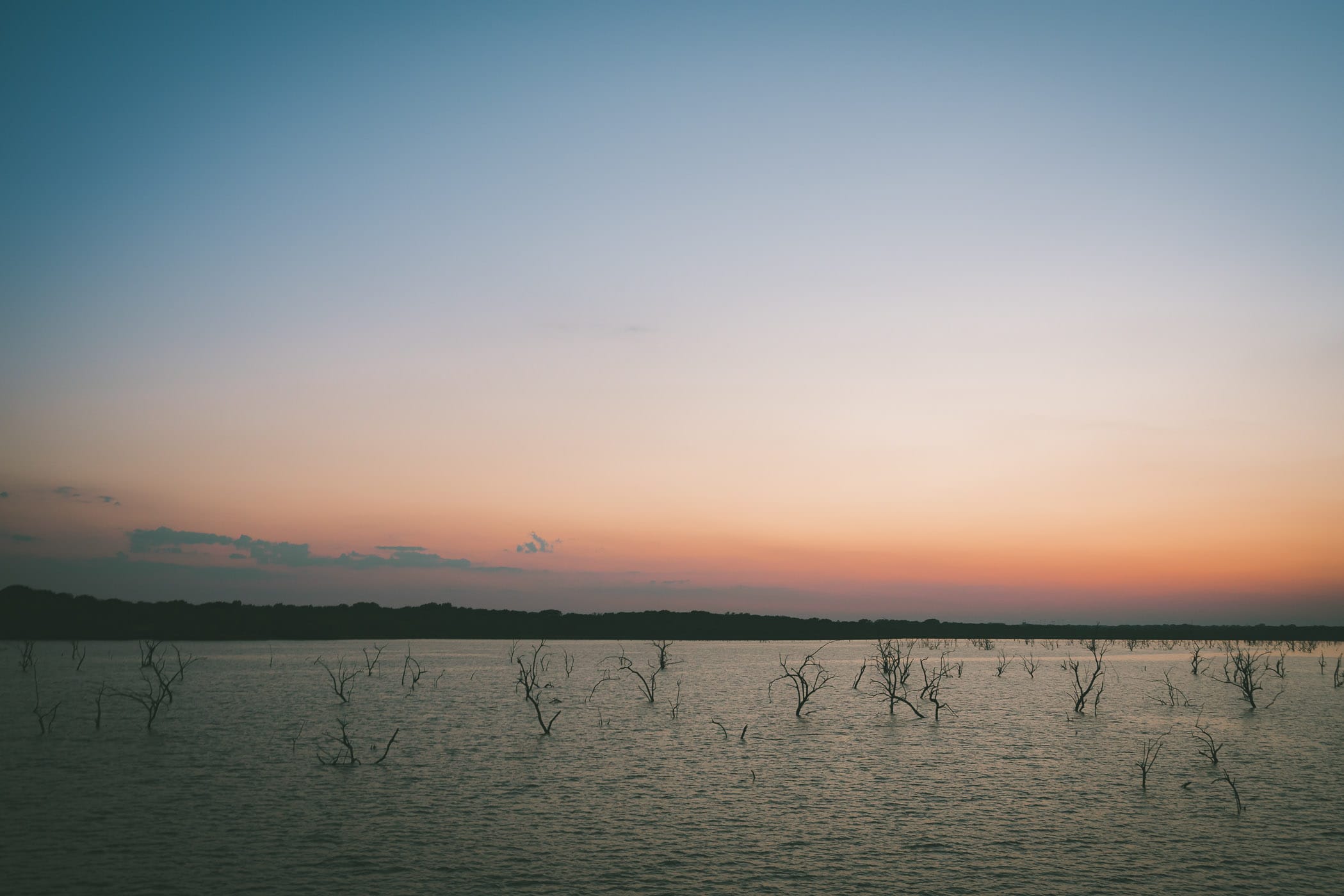 Trees—remnants from the 1953 impoundment of North Texas' Lake Lavon—poke from the water into the evening sky near the town of Princeton.