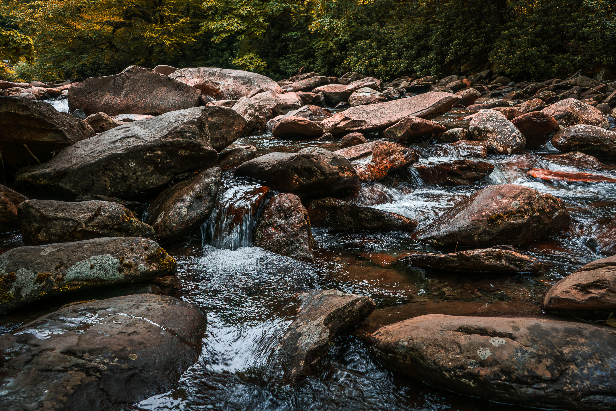 The West Prong of the Little Pigeon River flows over rocks in Tennessee's Great Smoky Mountains National Park.