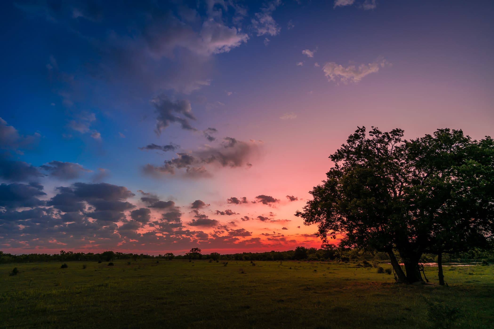 The first light of day on a field near North Texas' Hagerman National Wildlife Refuge.