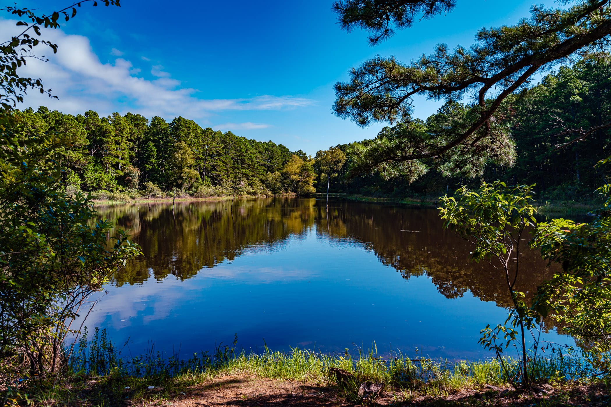 The tranquil waters of a pond at Oklahoma's McGee Creek State Park.