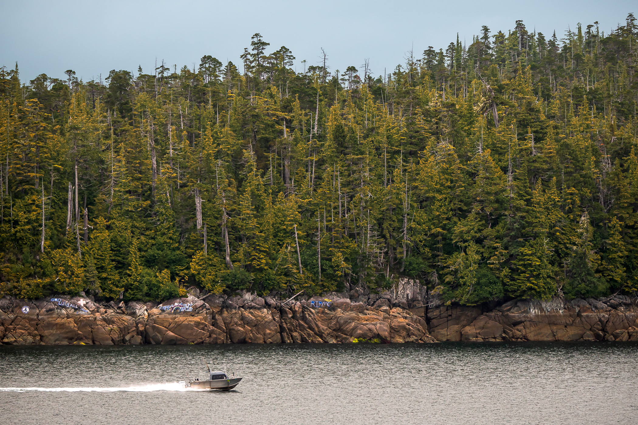 A boat speeds along the Tongass Narrows at Ketchikan, Alaska.