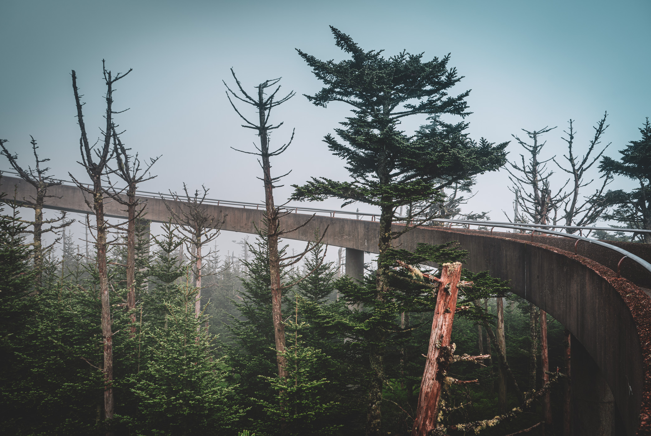 The ramp to the observation tower at Clingmans Dome curves through the early-morning Great Smoky Mountains National Park fog.