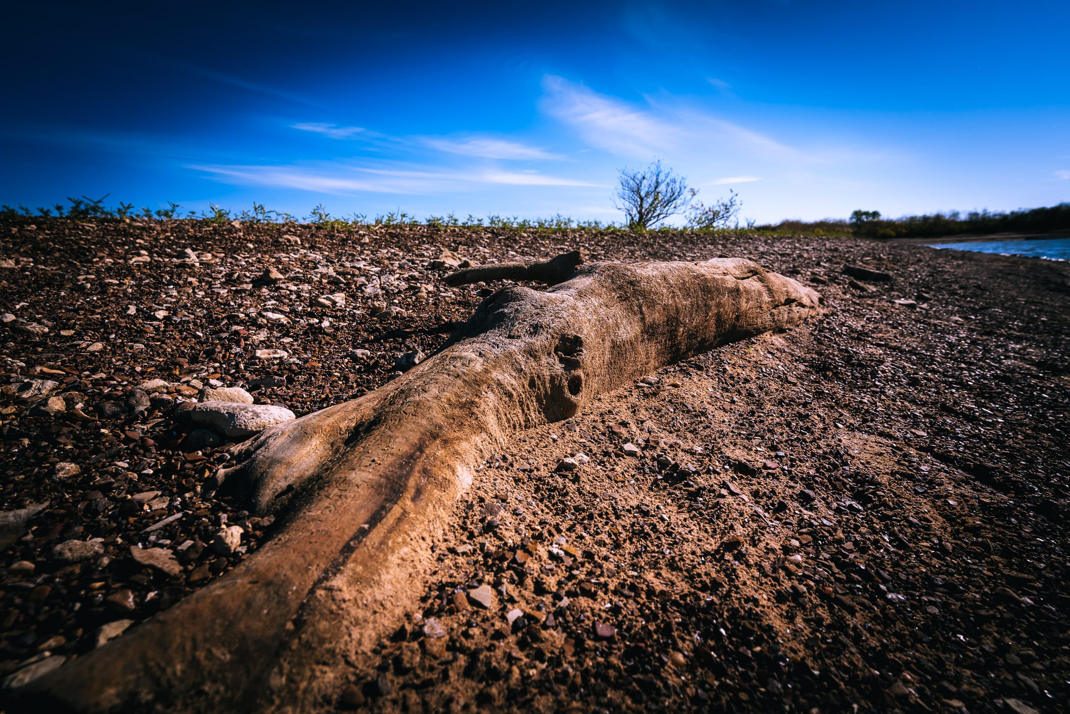 A partially-buried log on the shore at Oklahoma's Lake Texoma State Park.