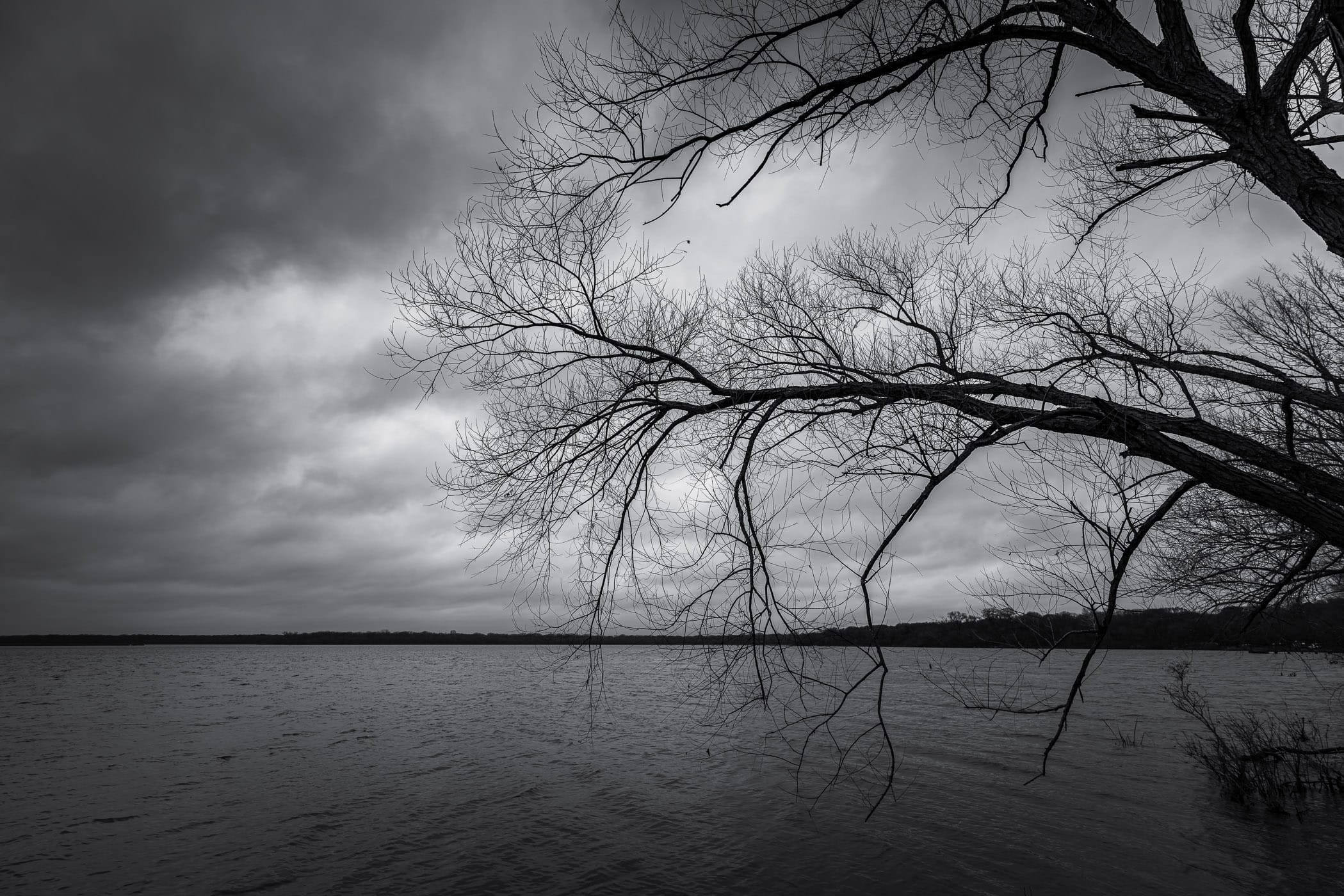 Tree branches reach over the lake at Texas' Fort Parker State Park on a cloudy, dreary day.