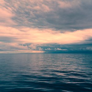 Calm Morning on the Cold Sea
