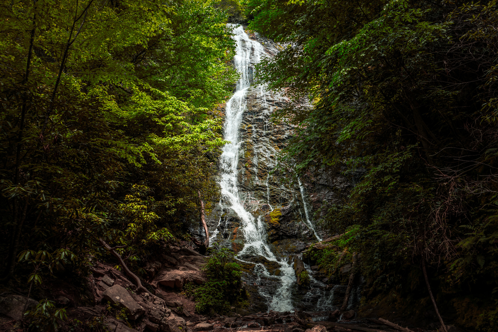 Mingo Falls cascades 120 feet down through the forest near Cherokee, North Carolina.