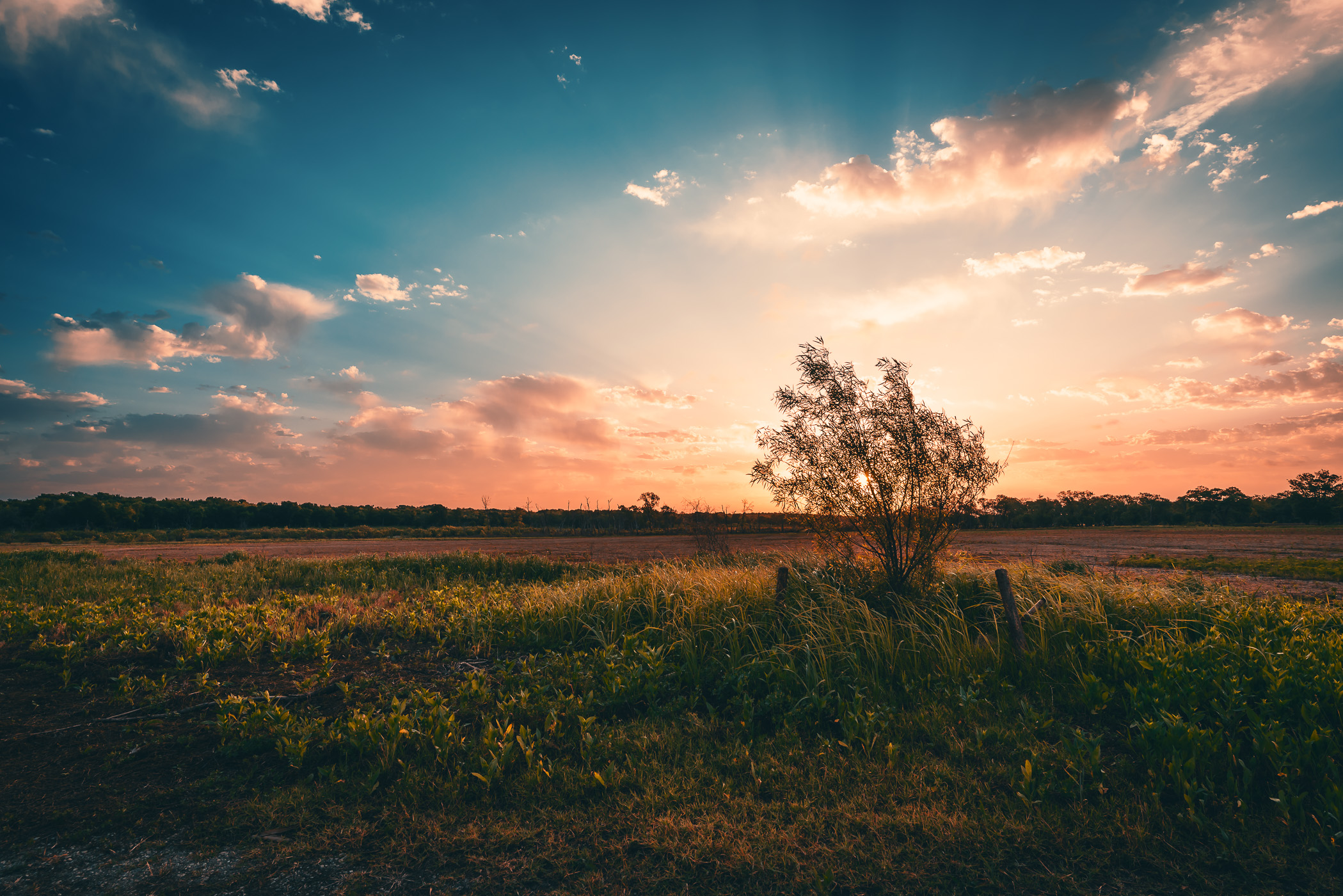 Morning at North Texas' Hagerman National Wildlife Refuge.