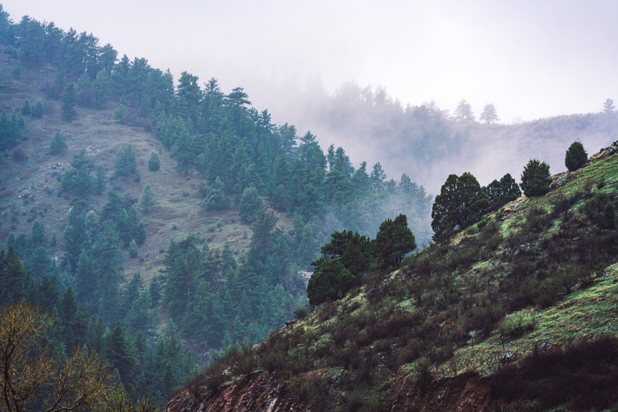 Fog rolls through the Rocky Mountain foothills near Golden, Colorado.