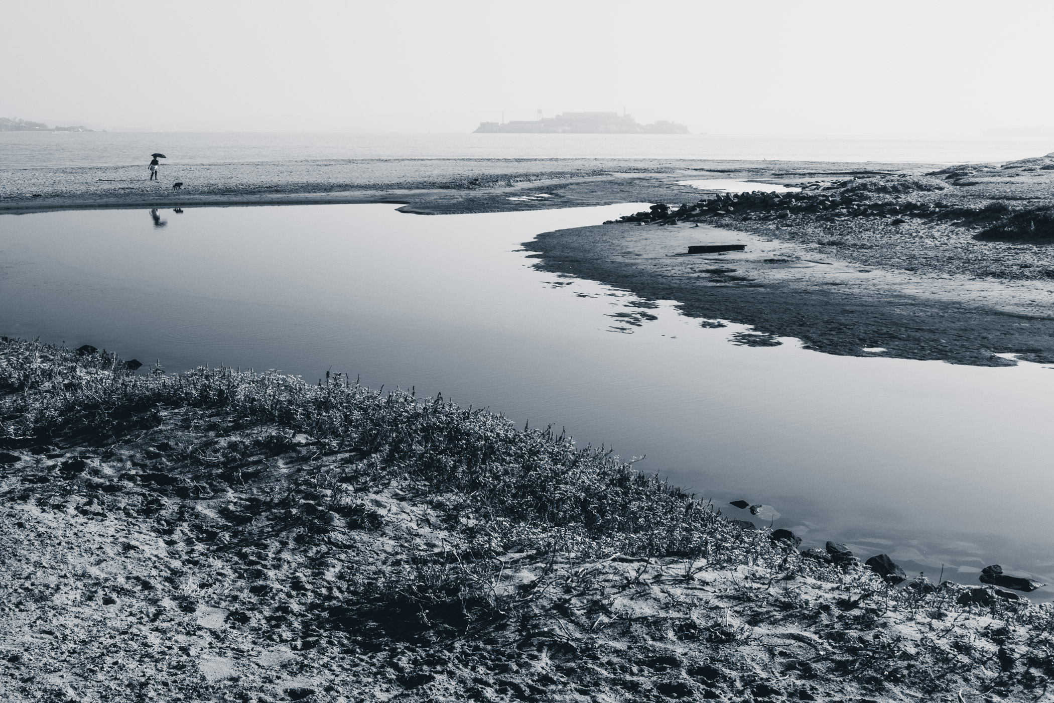 A cold, foggy morning at San Francisco's Crissy Field.