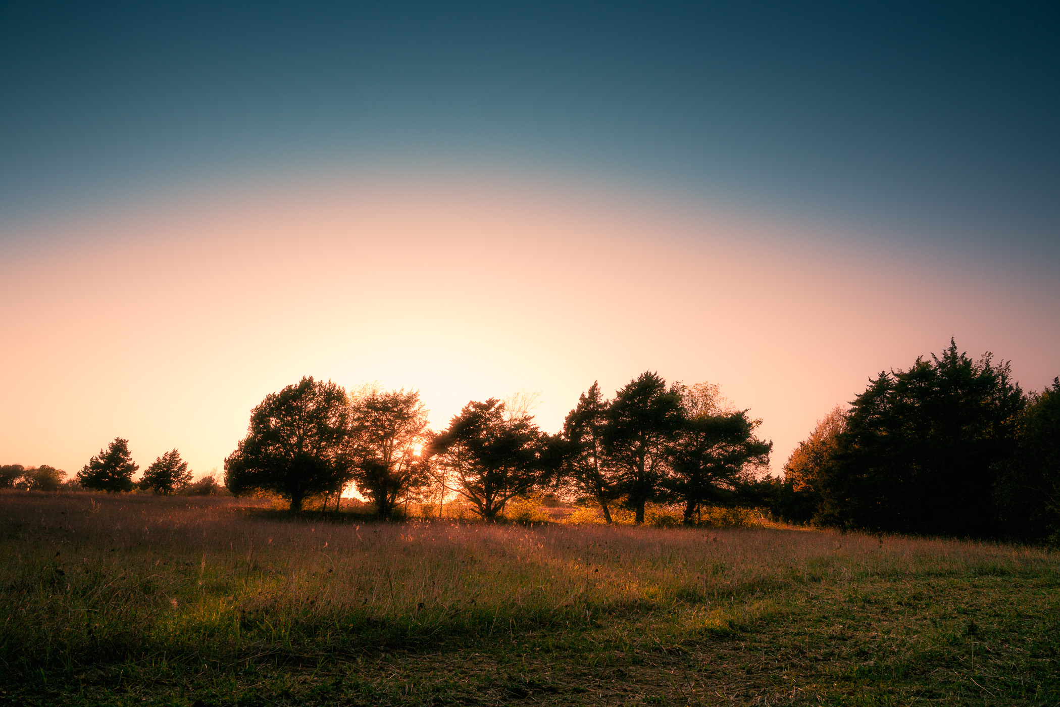 The sun sets on a small grove of trees at McKinney, Texas' Erwin Park.
