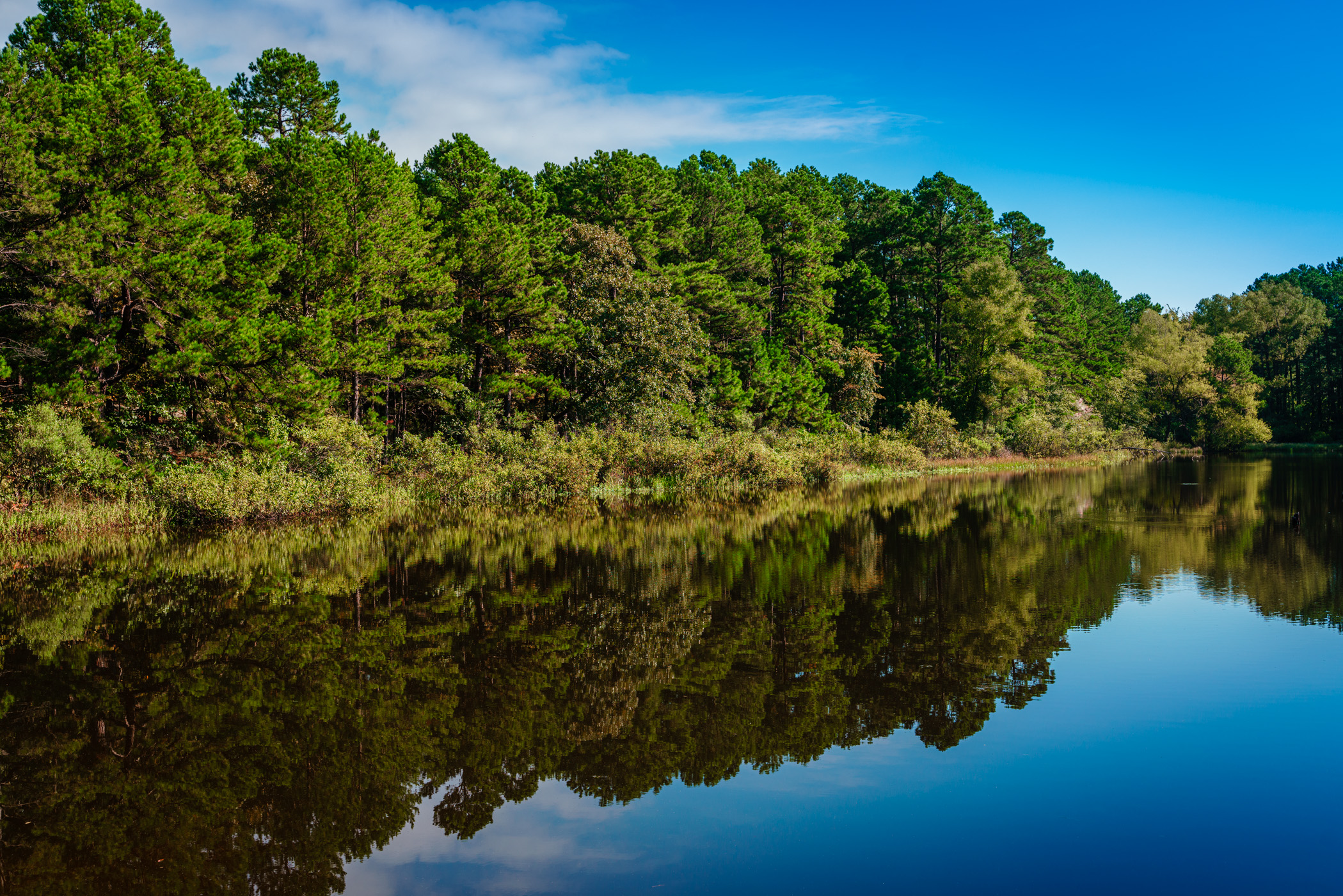 Trees reflected on a still pond at Oklahoma's McGee Creek State Park.