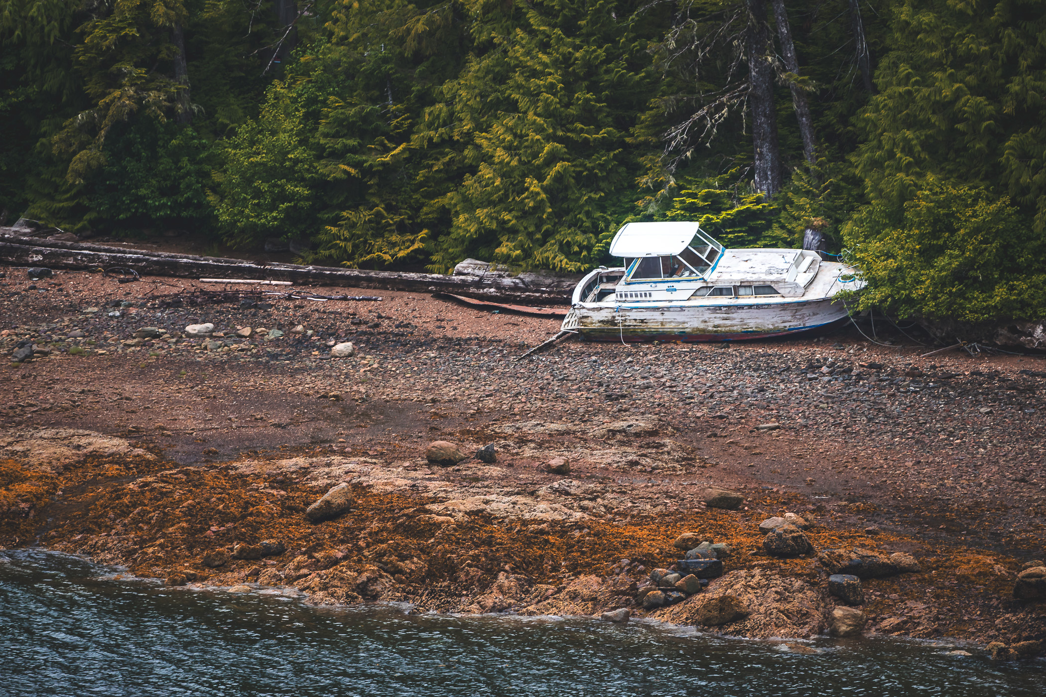 An abandoned boat left on the rocky beach of the Tongass Narrows near Ketchikan, Alaska.