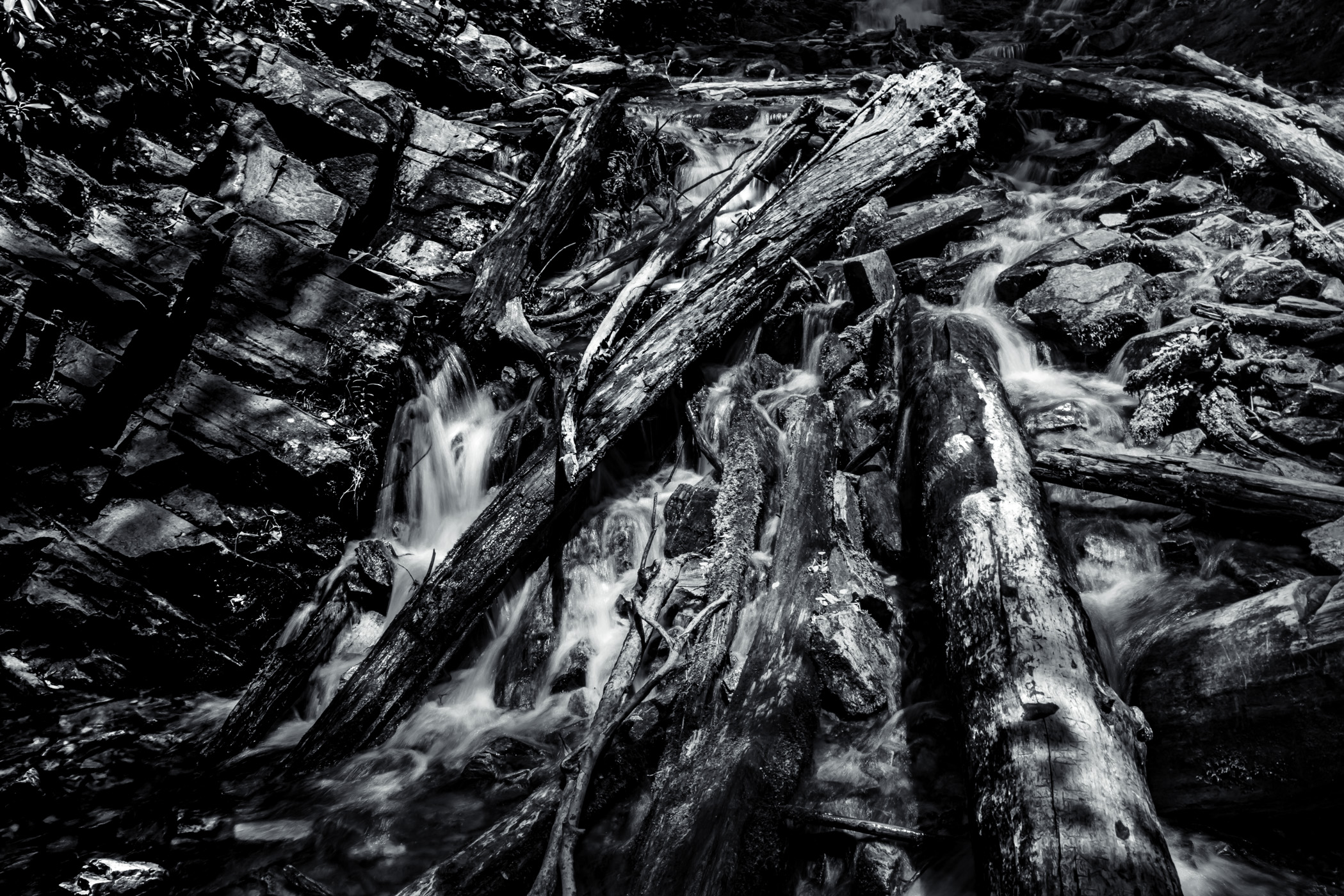 Water cascades over logs at the bottom of Mingo Falls near Cherokee, North Carolina.