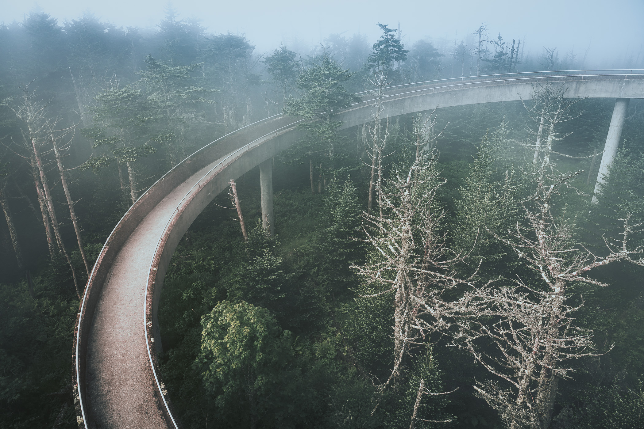 The ramp leading to the top of the observation tower at the Great Smoky Mountains National Park's Clingman's Dome curves through the morning fog.