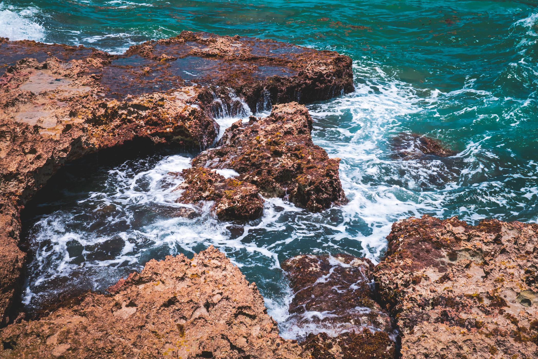 The rocky shore of Cozumel, Mexico's El Mirador.