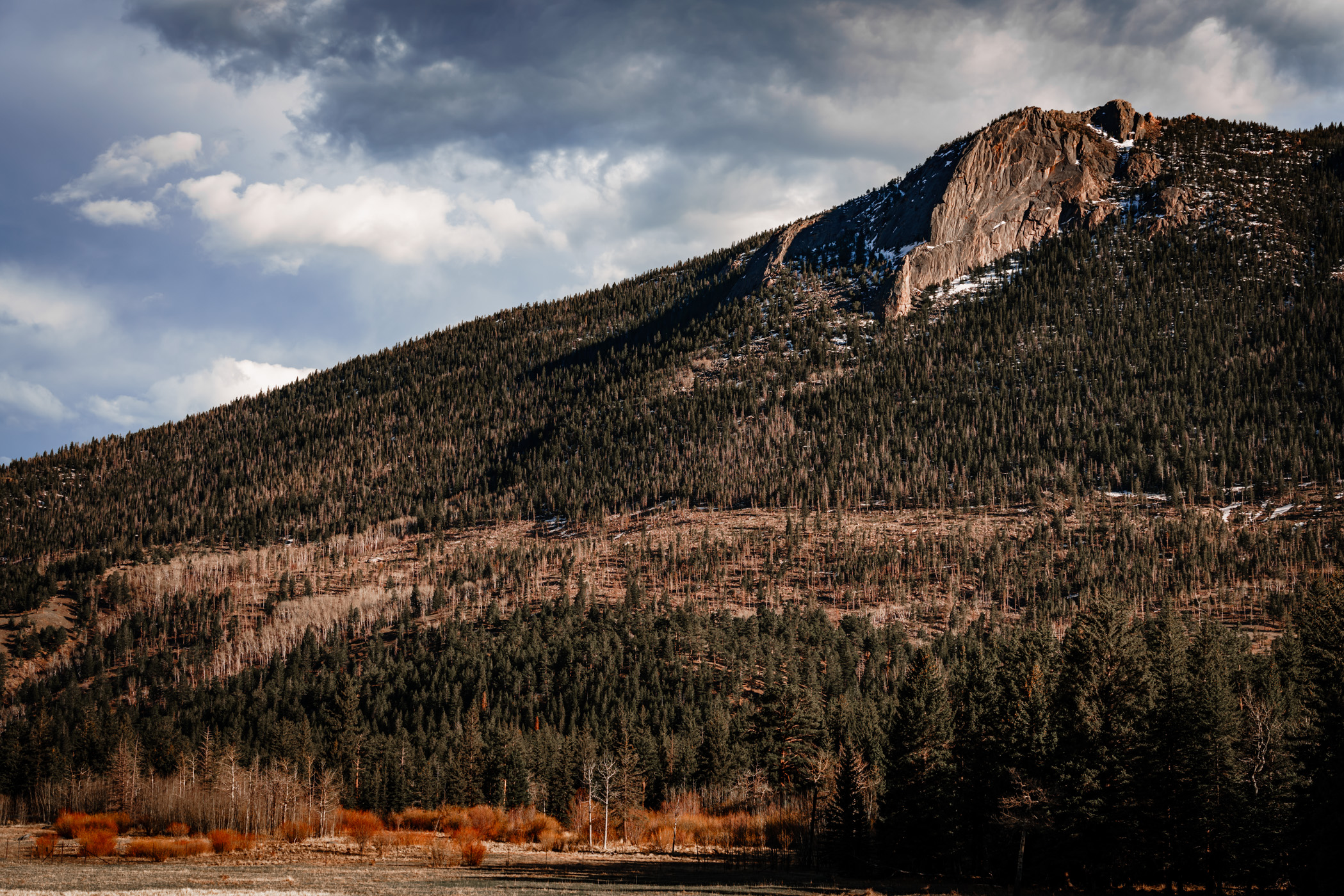 The forested and mountainous landscape of Colorado's Rocky Mountain National Park.