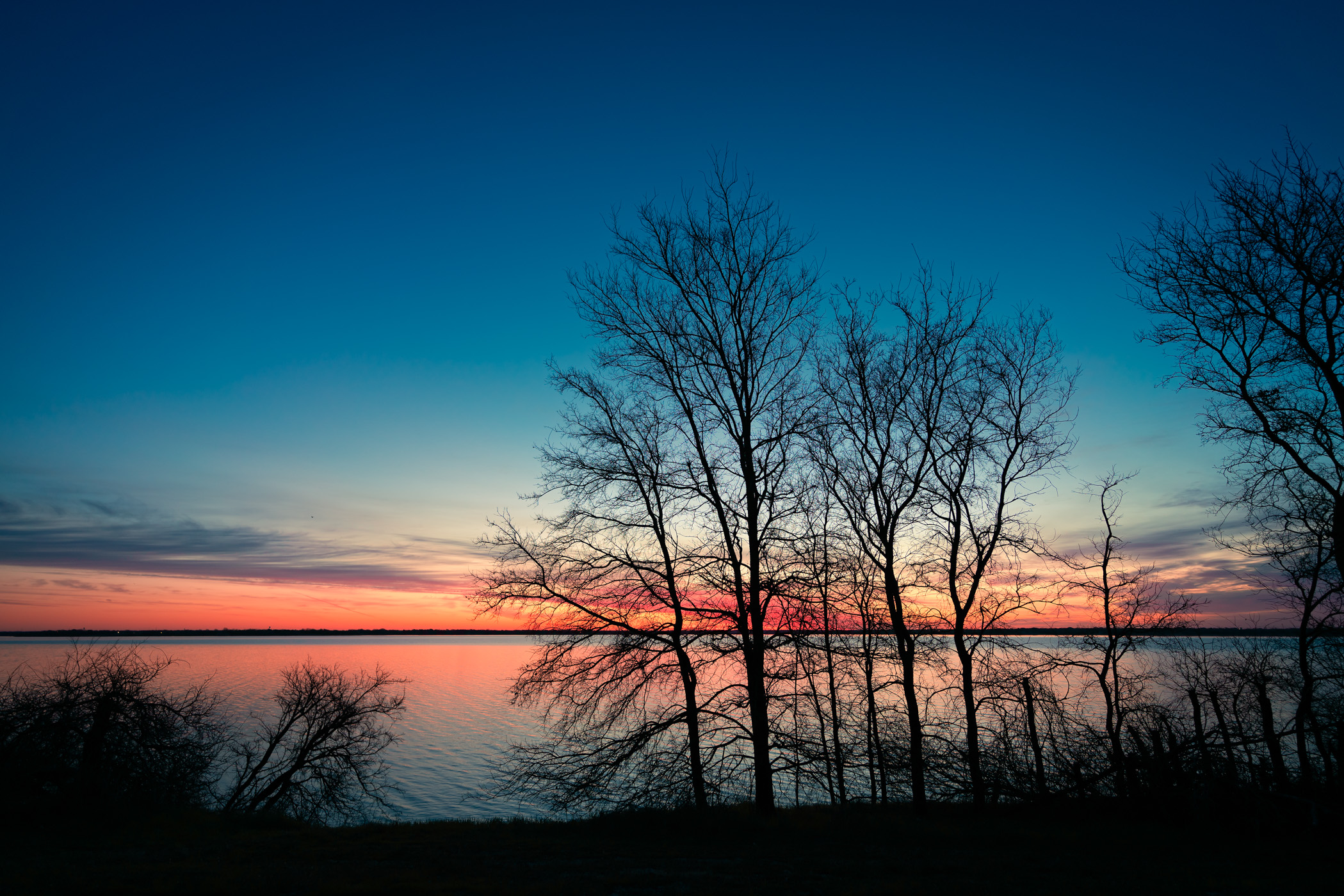 The sun rises on trees along the shore of North Texas' Lake Lavon.