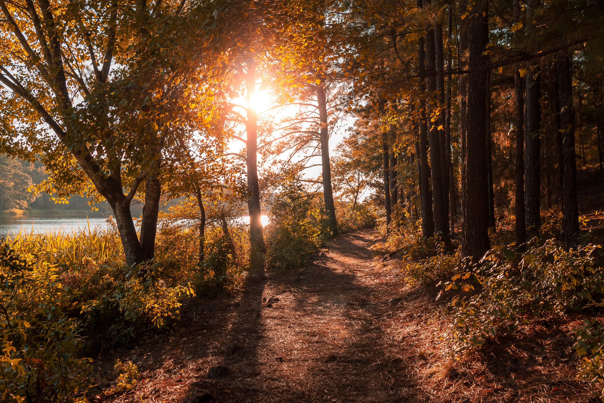 The sun begins to set on Tyler State Park, Texas.