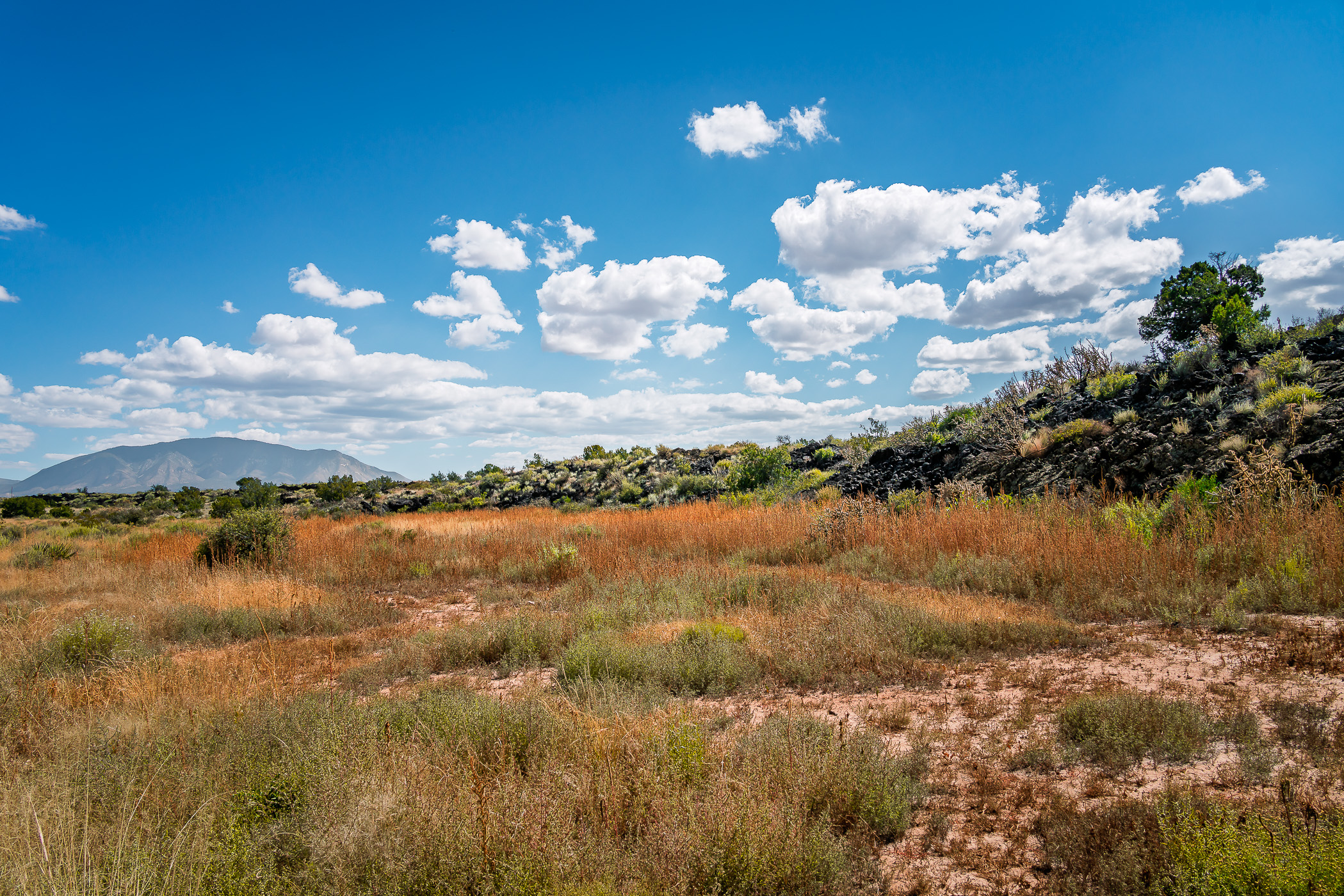 An ancient lava flow reaches towards distant mountains at the Valley of Fires in the Carrizozo Malpais, New Mexico.