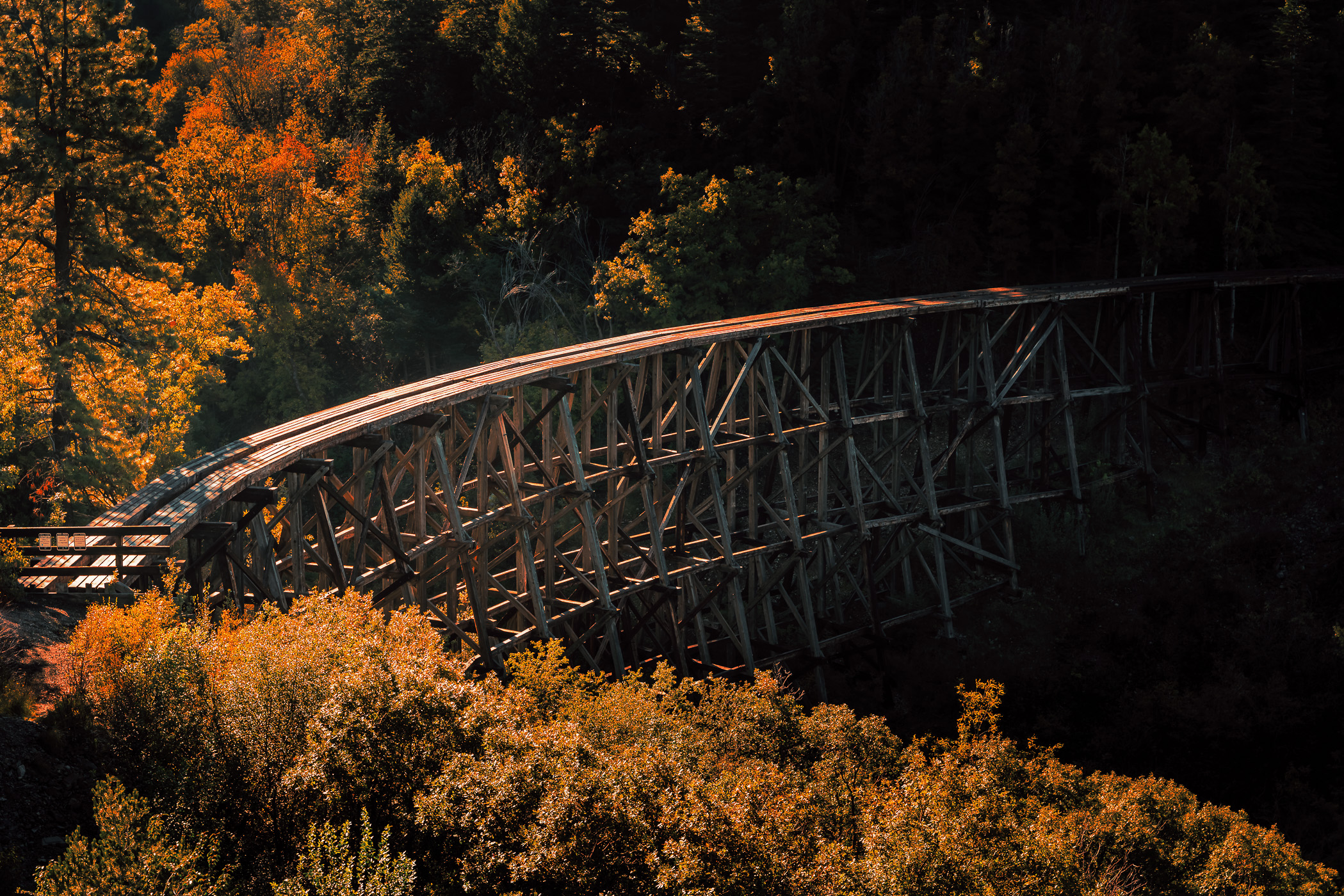 The abandoned Mexican Canyon Trestle crosses a gorge in the mountains near Cloudcroft, New Mexico.