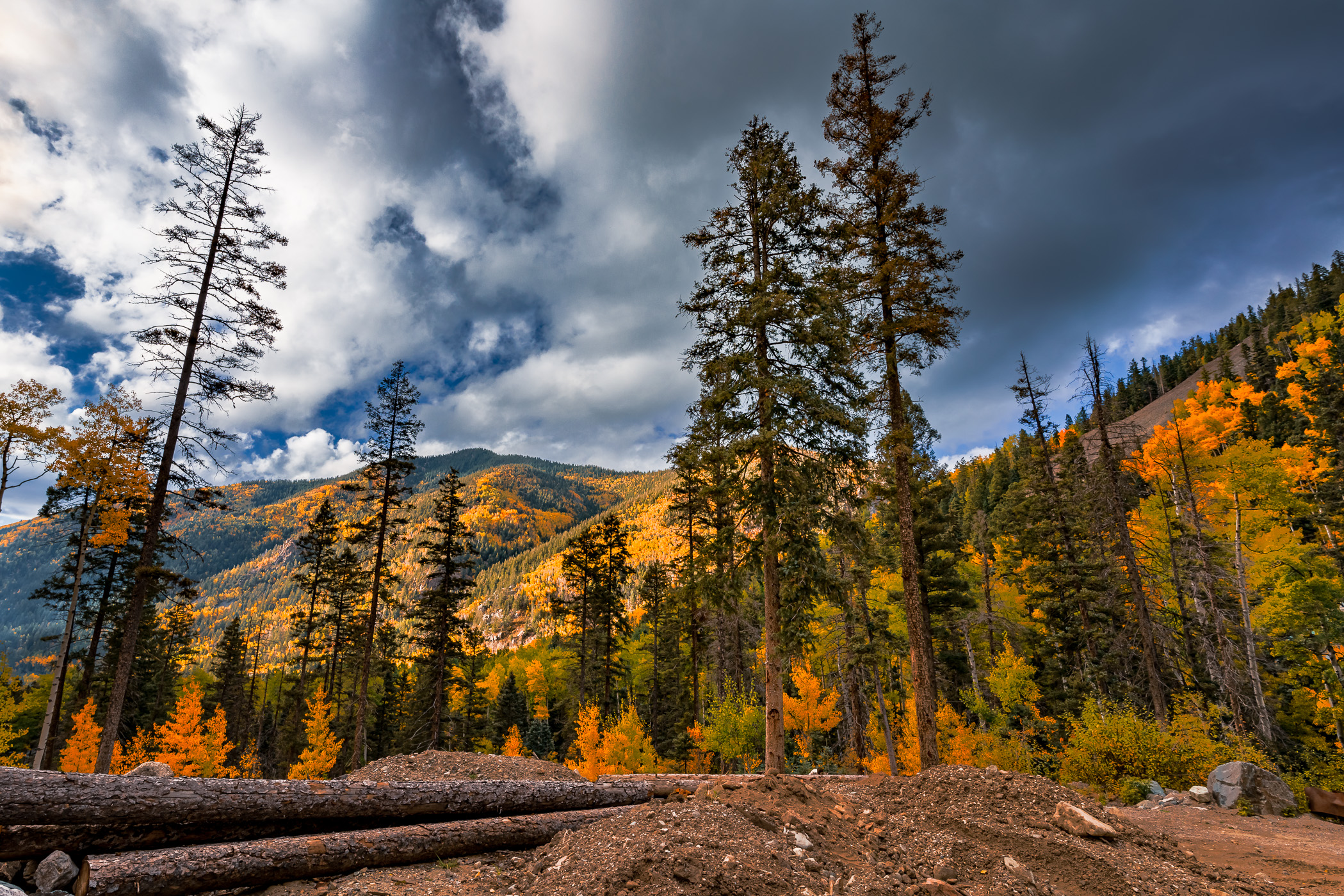 Trees reach for the clouds in the mountains of Taos Ski Valley, New Mexico.