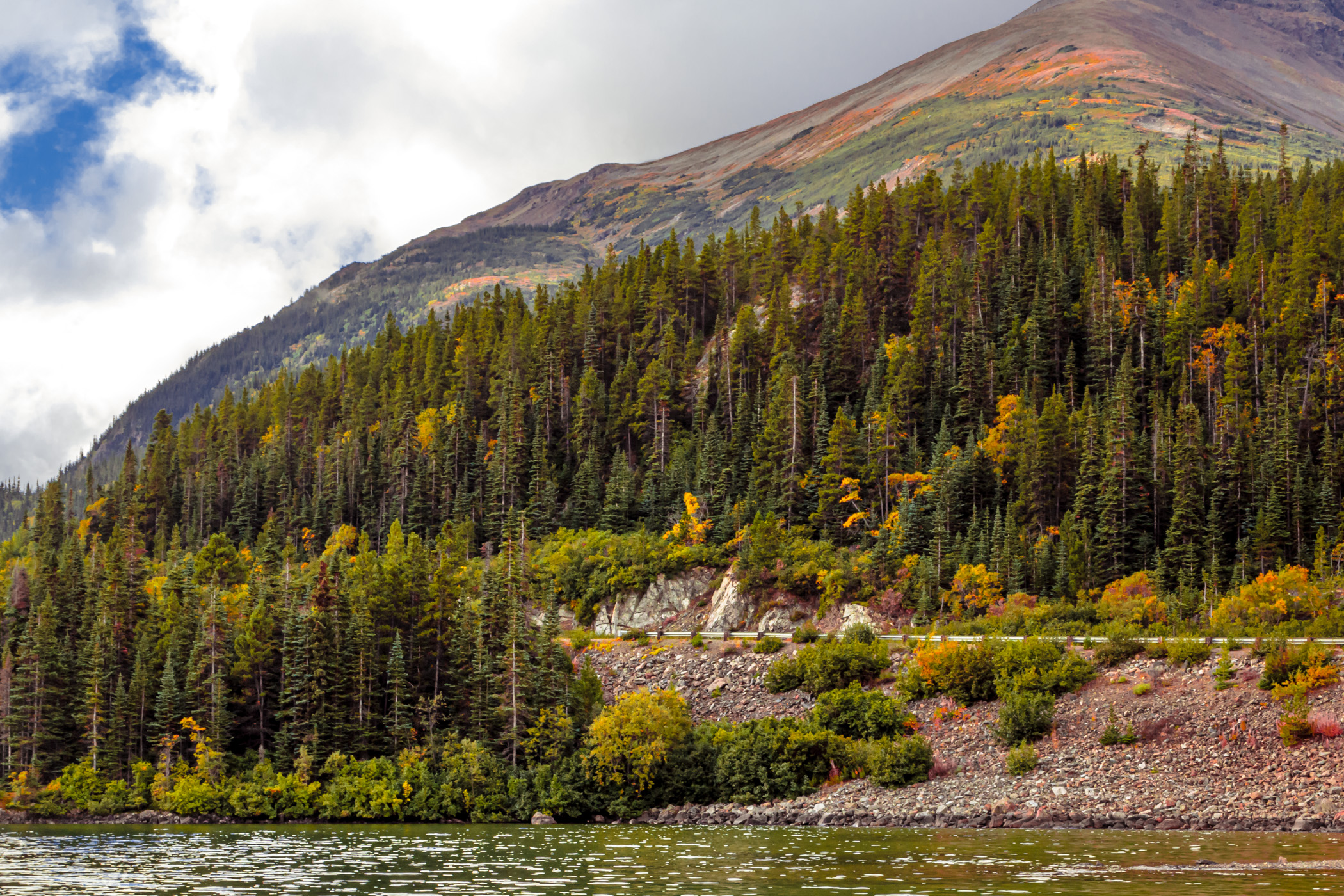 Trees grow along the Klondike Highway at Tutshi Lake, British Columbia, Canada.