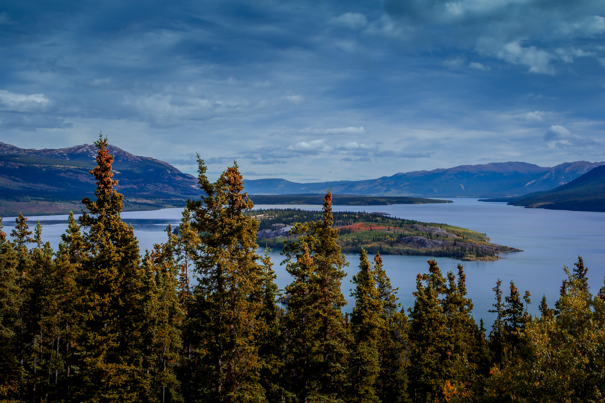 Bove Island interrupts the placid waters of the Yukon Territory's Tagish Lake.