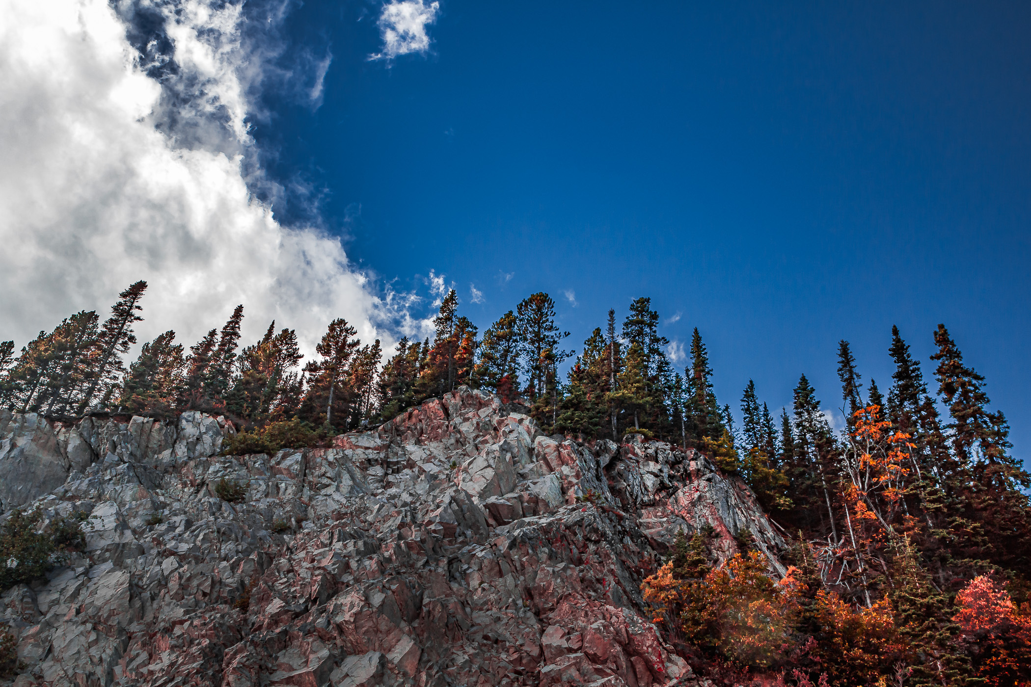 Evergreen trees grow atop a rocky ridge along the Klondike Highway in British Columbia's Stikine Region.