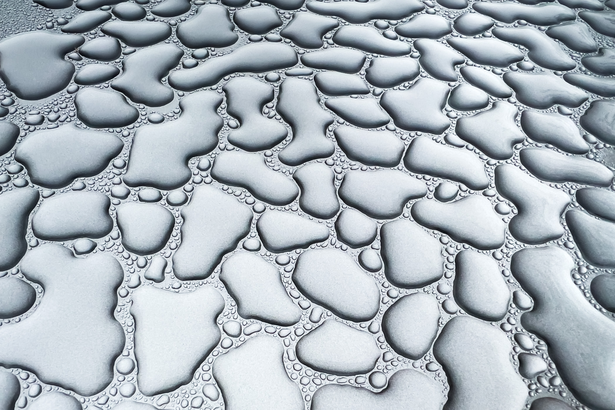 Raindrops on a car hood form an abstract pattern, as seen somewhere in McKinney, Texas.