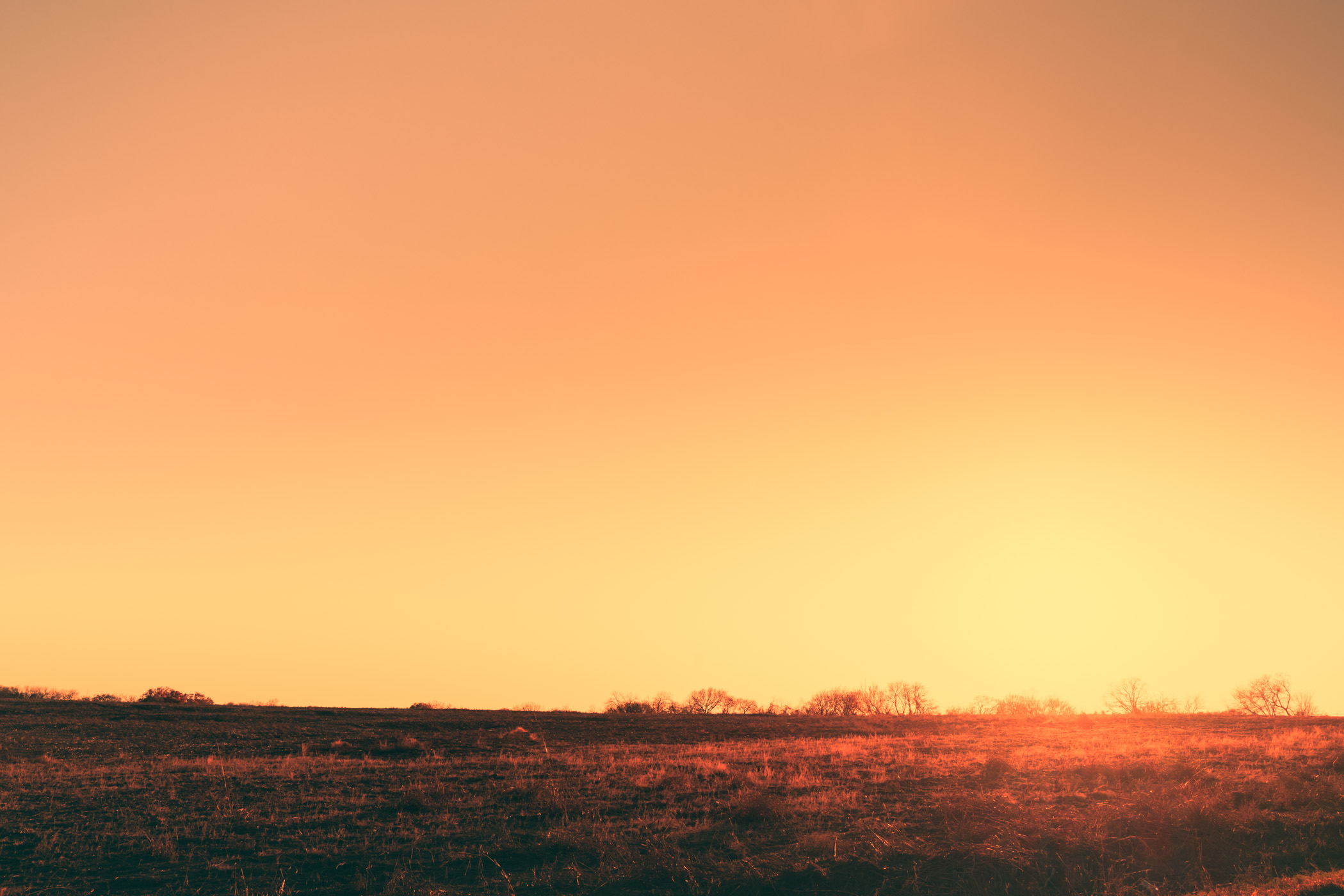 The sun sets on a farm field near McKinney, Texas.