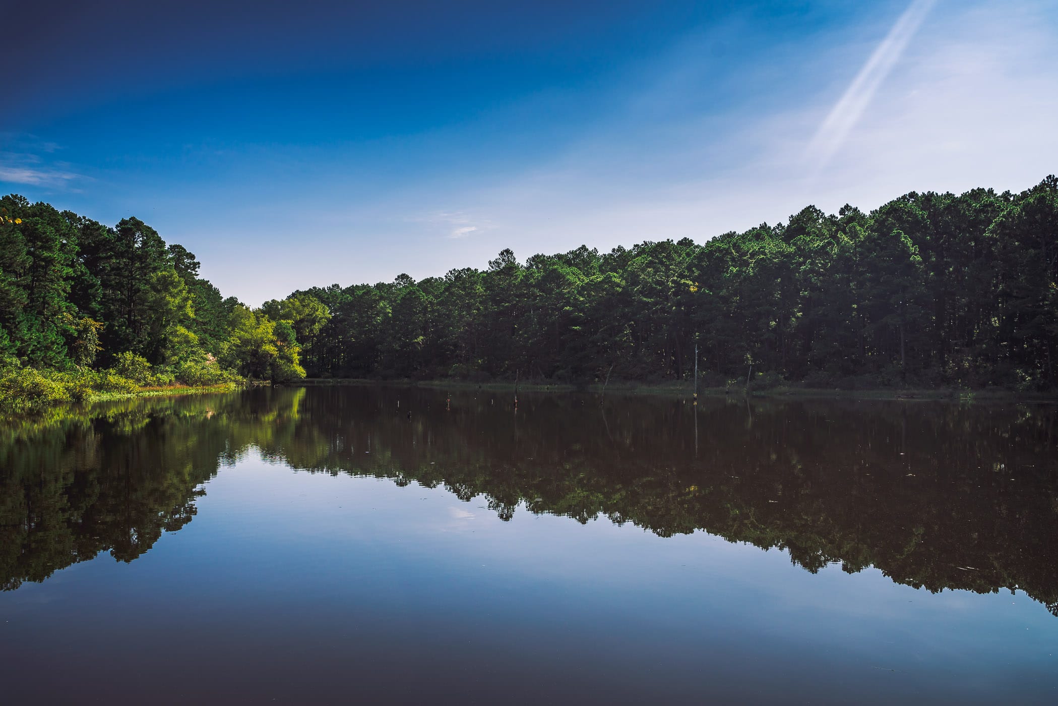 The forest is reflected in a pond at Oklahoma's McGee Creek State Park.