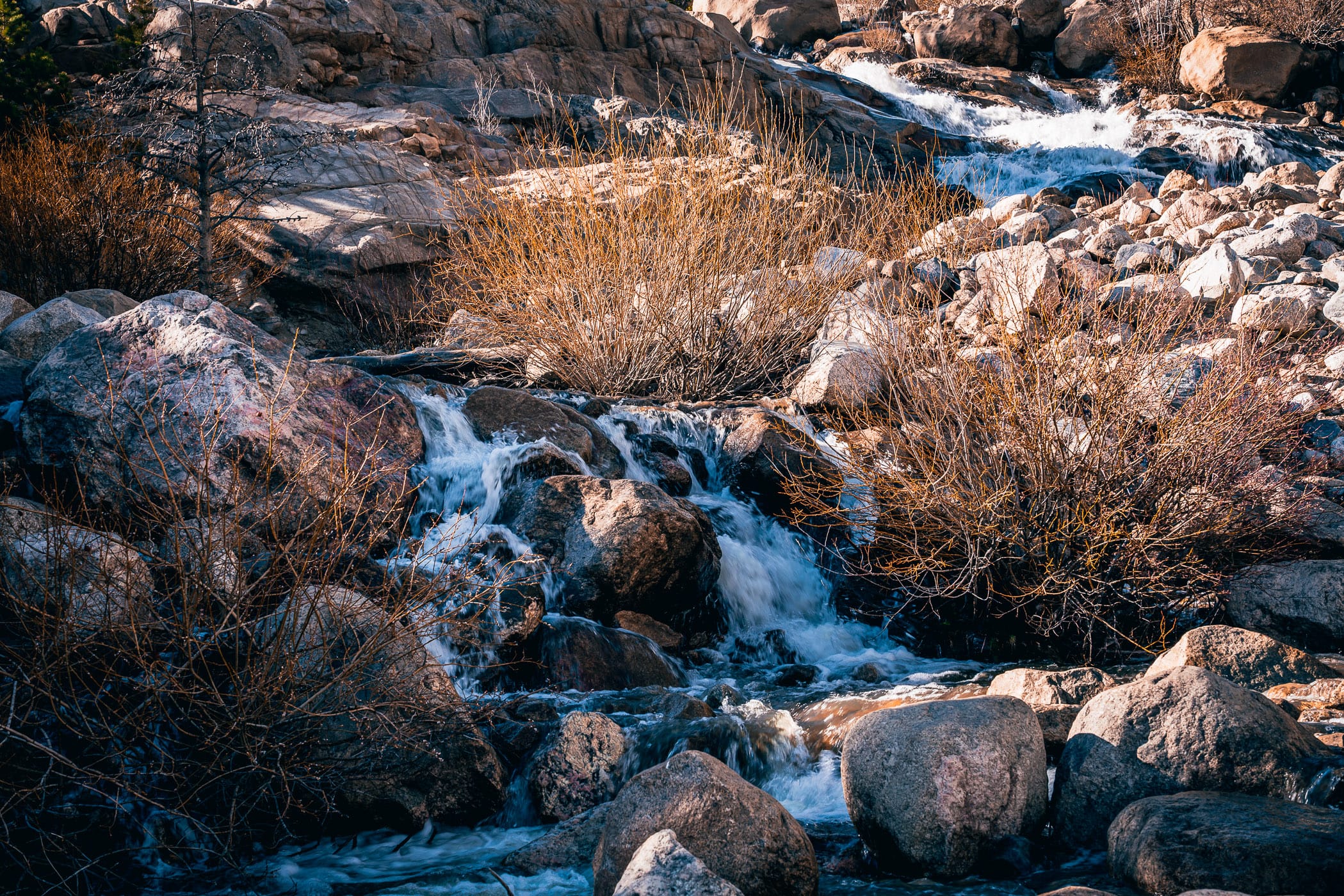 The Roaring River tumbles over rocks in Colorado's Rocky Mountain National Park.
