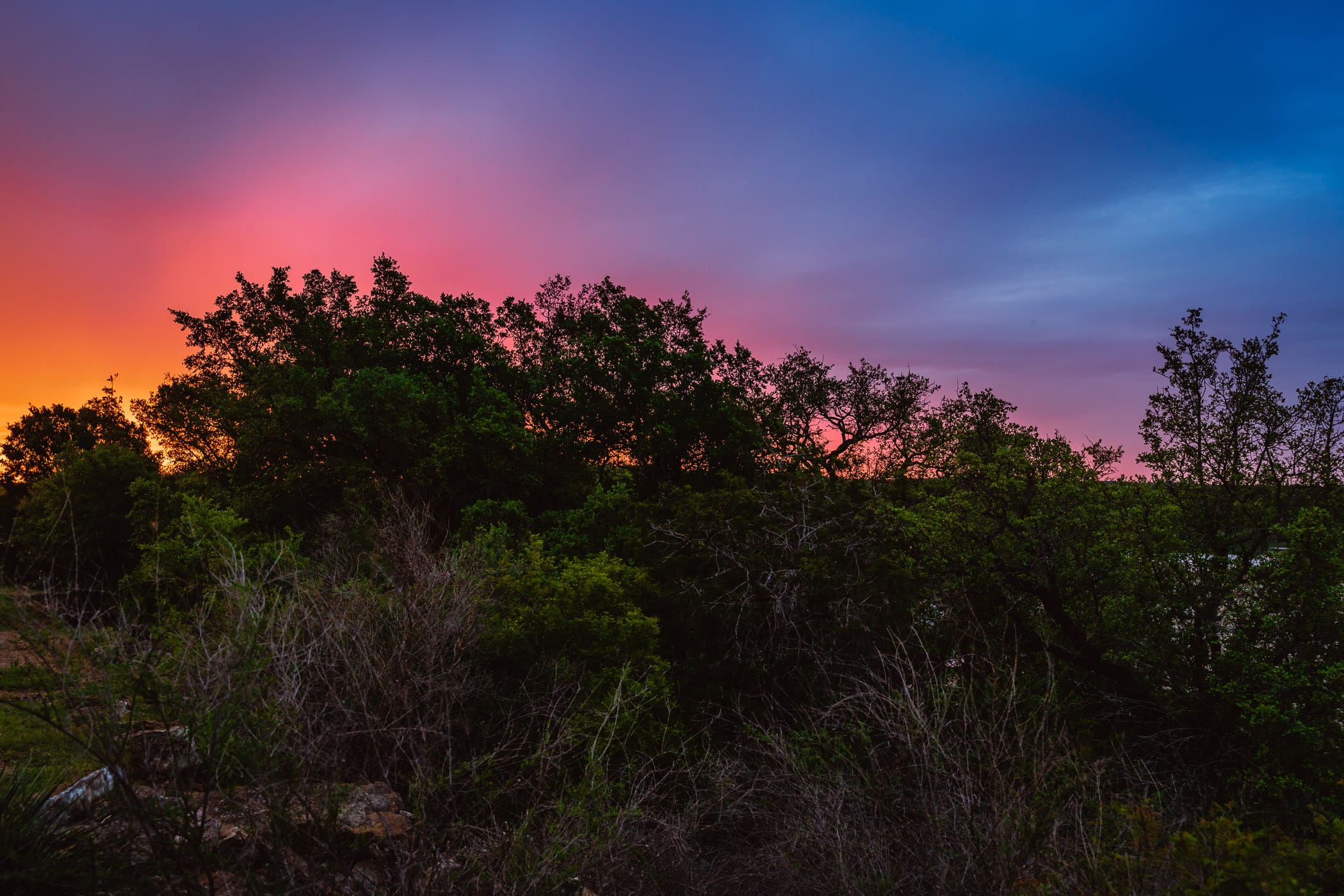 The sun sets on a grove of trees on a bluff above the Llano River near Mason, Texas.