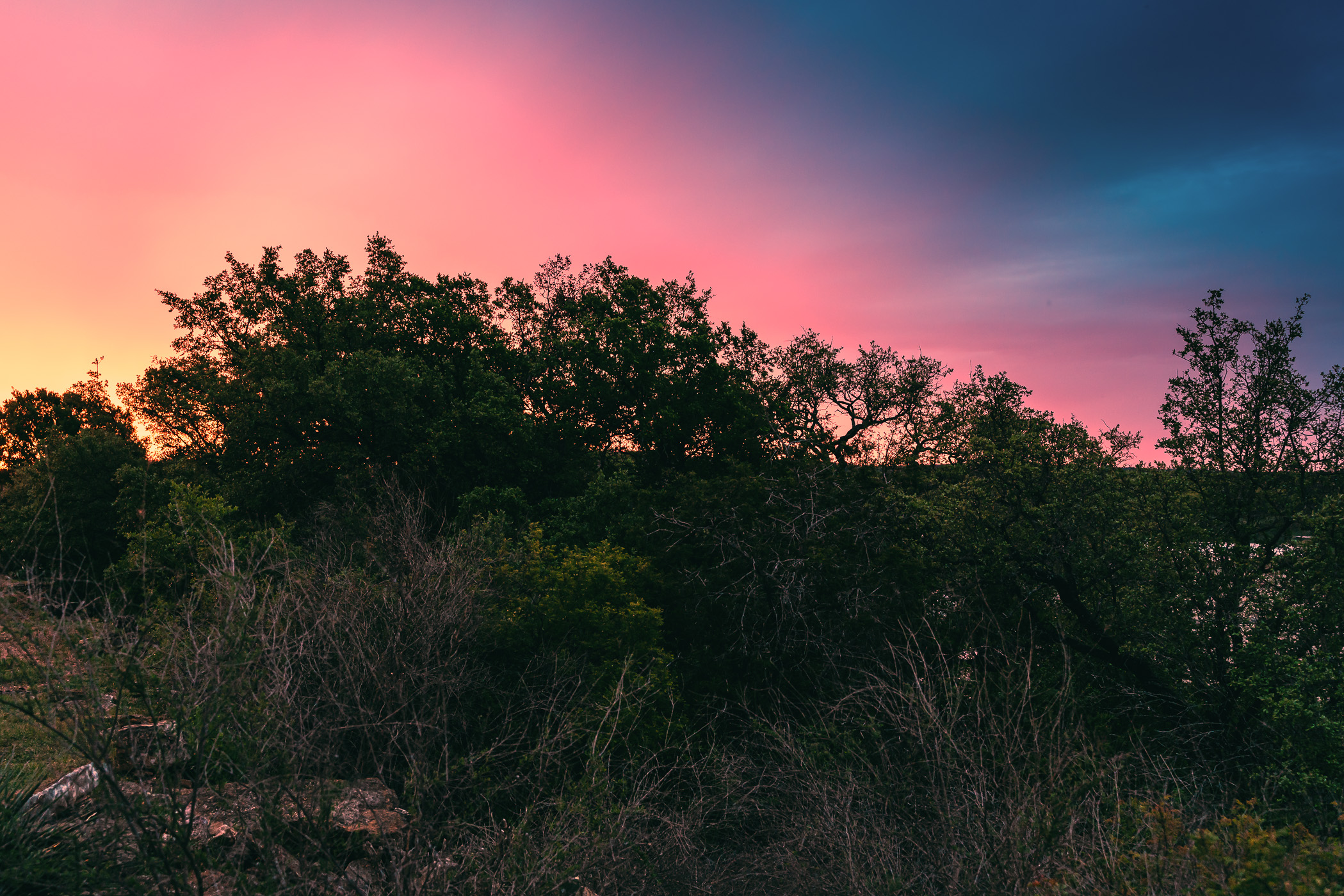 The sun sets on a grove of trees on a bluff above the Llano River near Mason, Texas.